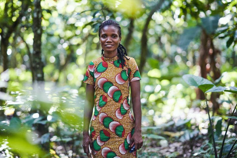 Barry Callebaut, Nestlé Team Up for Agroforestry