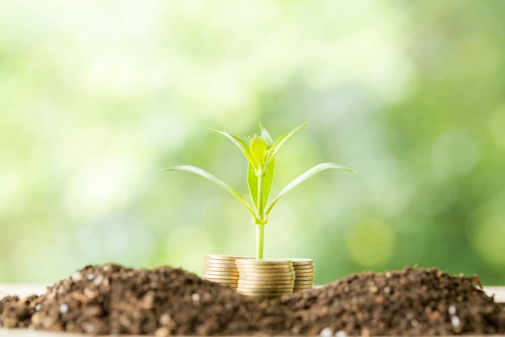 Hungary Updates Green Bond Framework