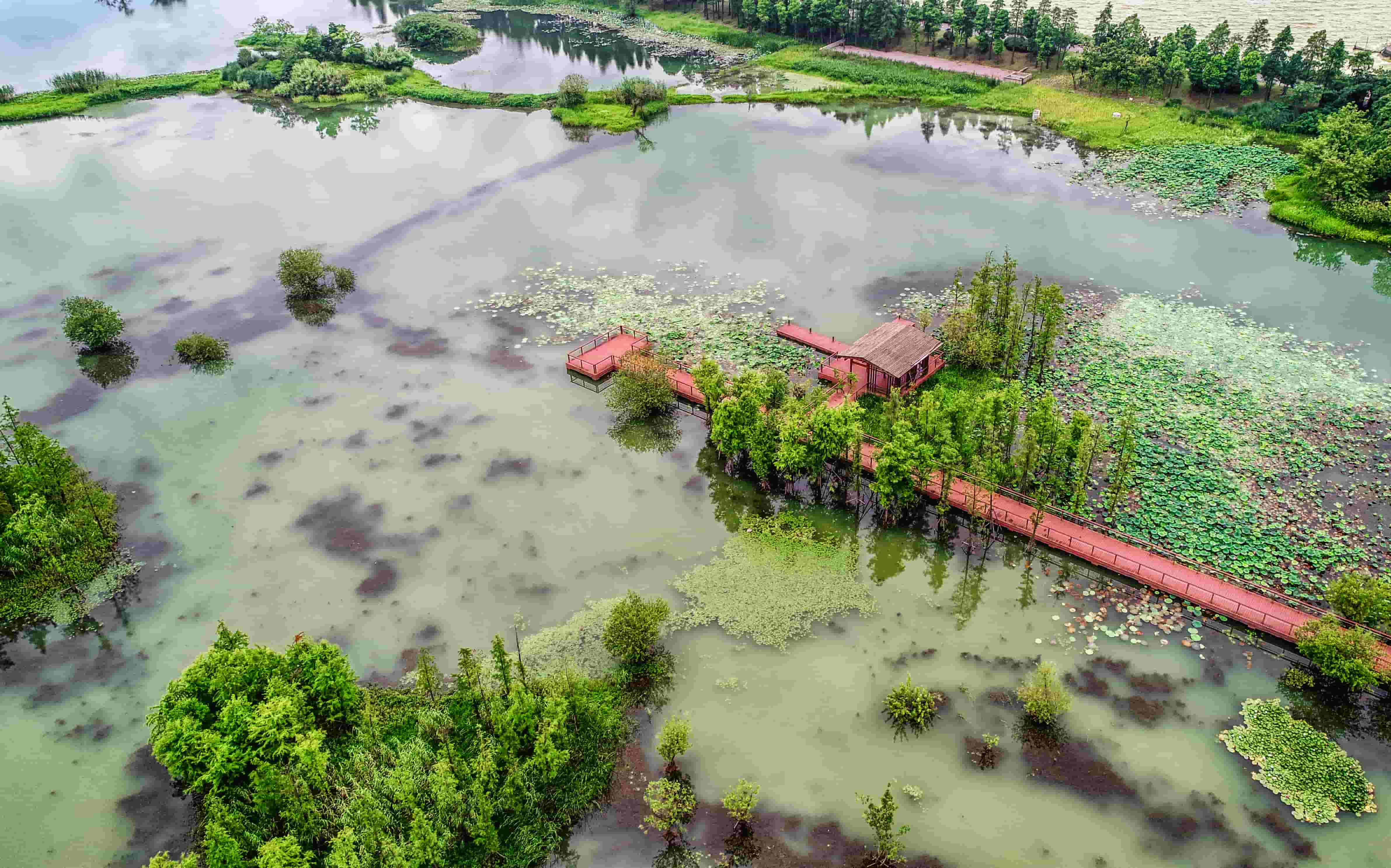 Thailand Floods Slash Rubber Output by $140 Million, Raising Global Supply Fears