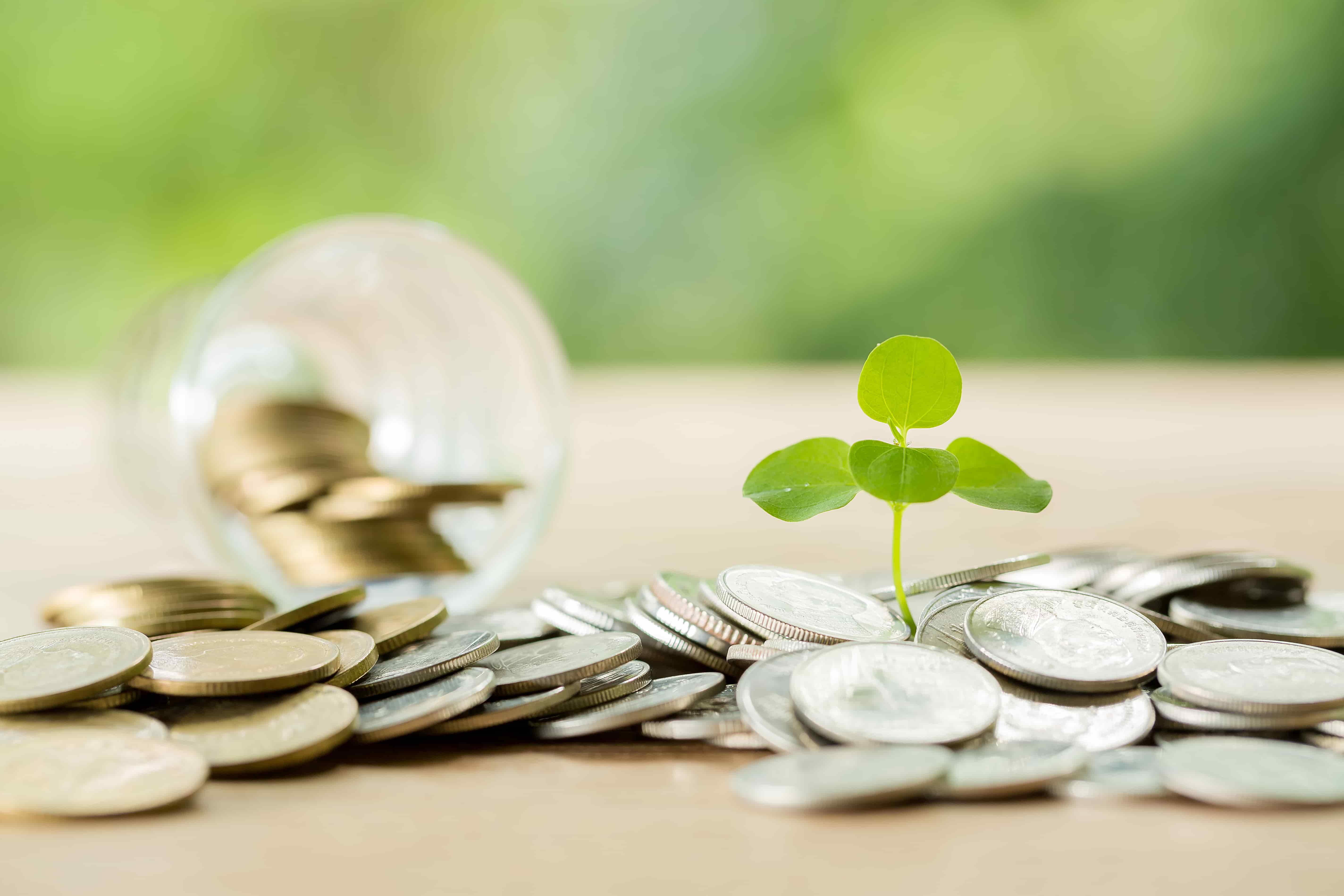 ESG Funds Face Investor Pullback Despite Fixed Income Resilience