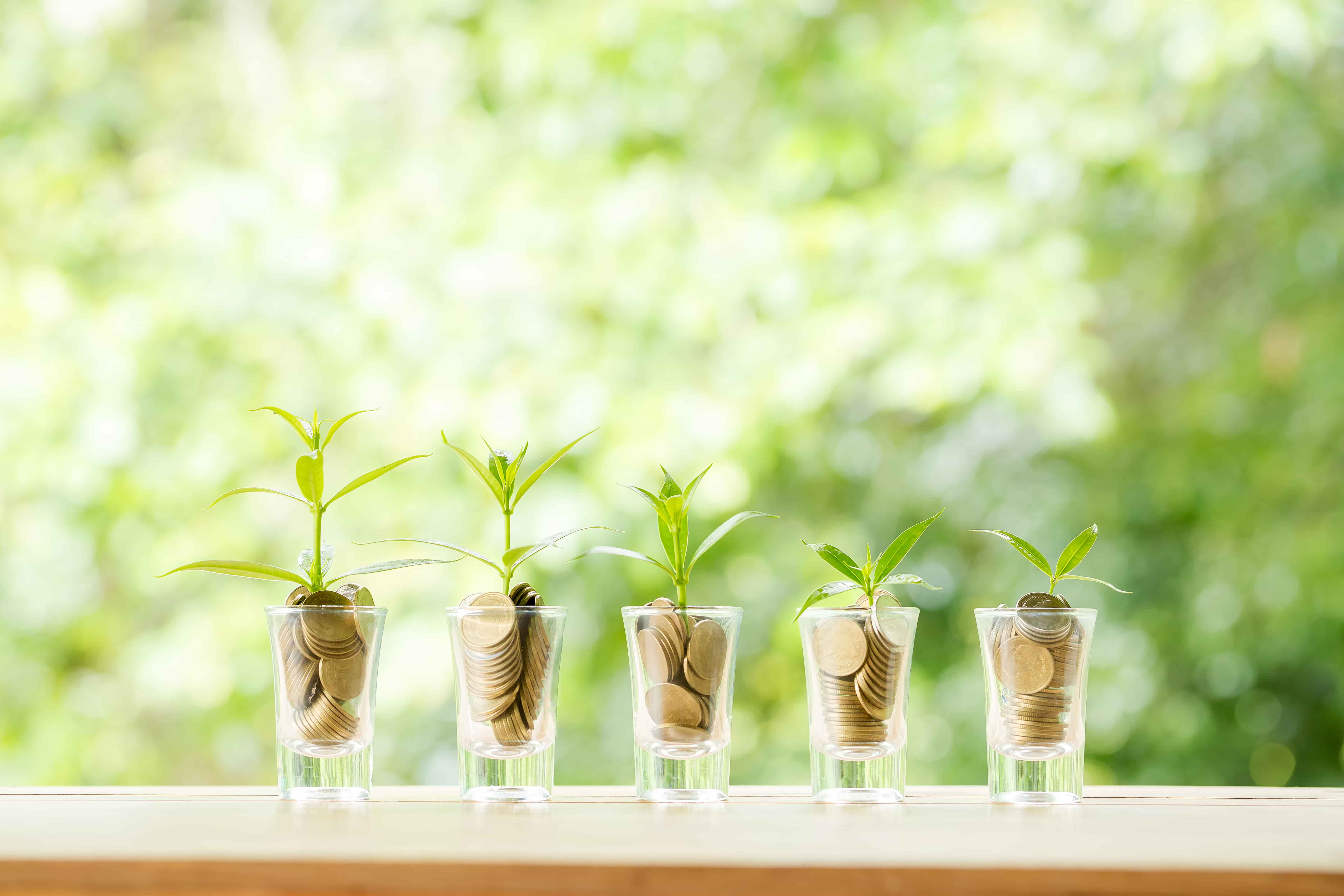 Green Investing: Types and Sustainable Strategies