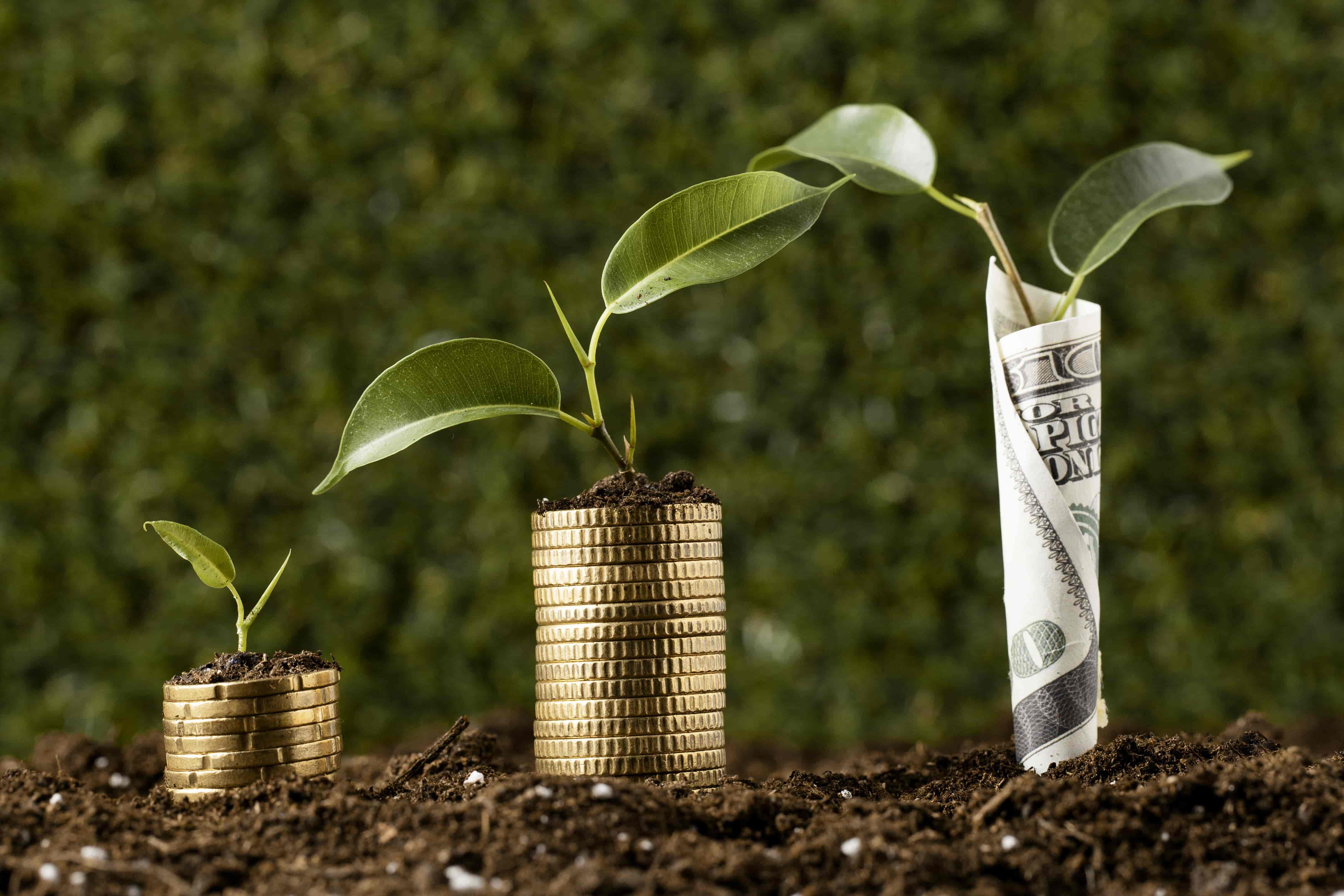 Closing the ESG ‘Do-Say’ Gap: Profit and Decarbonization Lead the Way