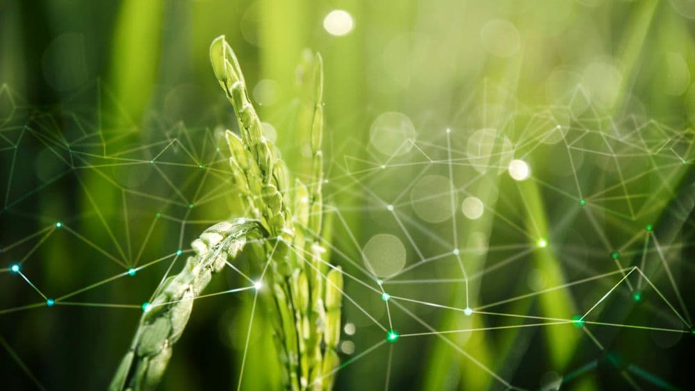 Decade Sees 155% Surge in ESG Rules, Reshaping Finance