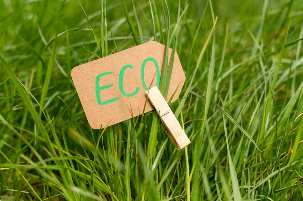 Shoosmiths Offers ESG Investment Market Insights