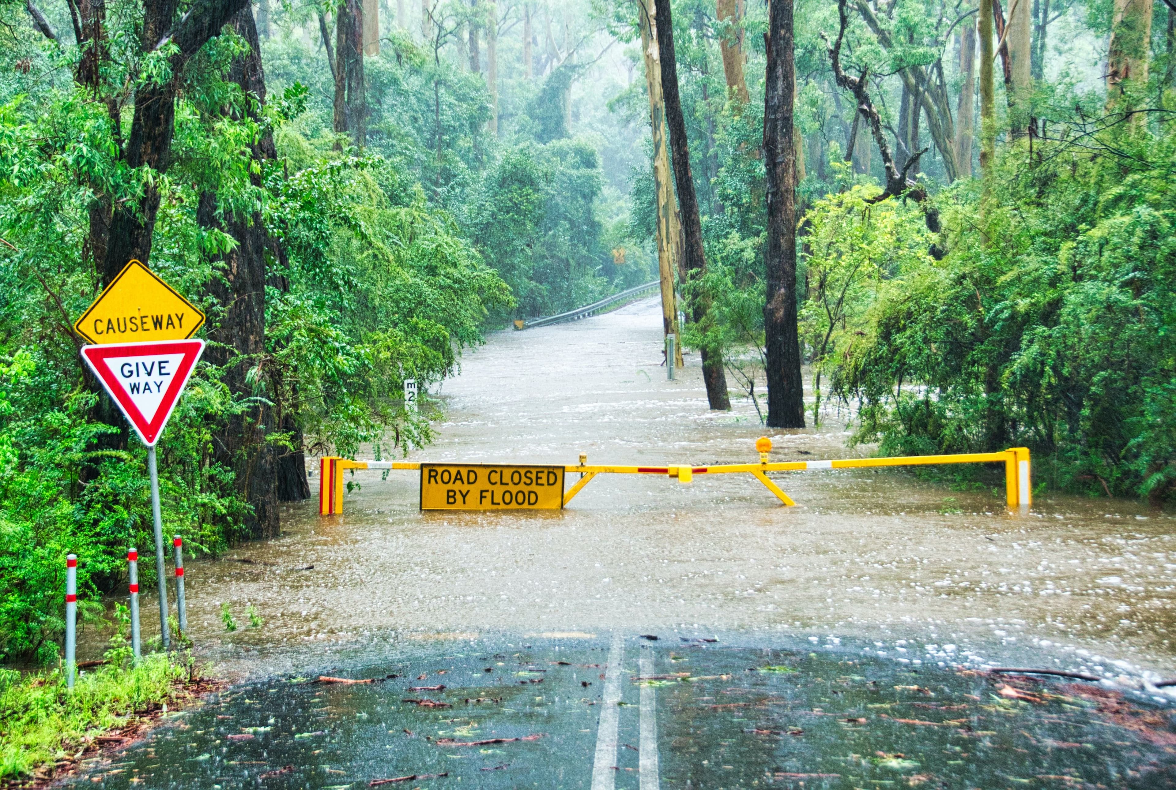 South Australians Affected by Floods Get Help from ANZ