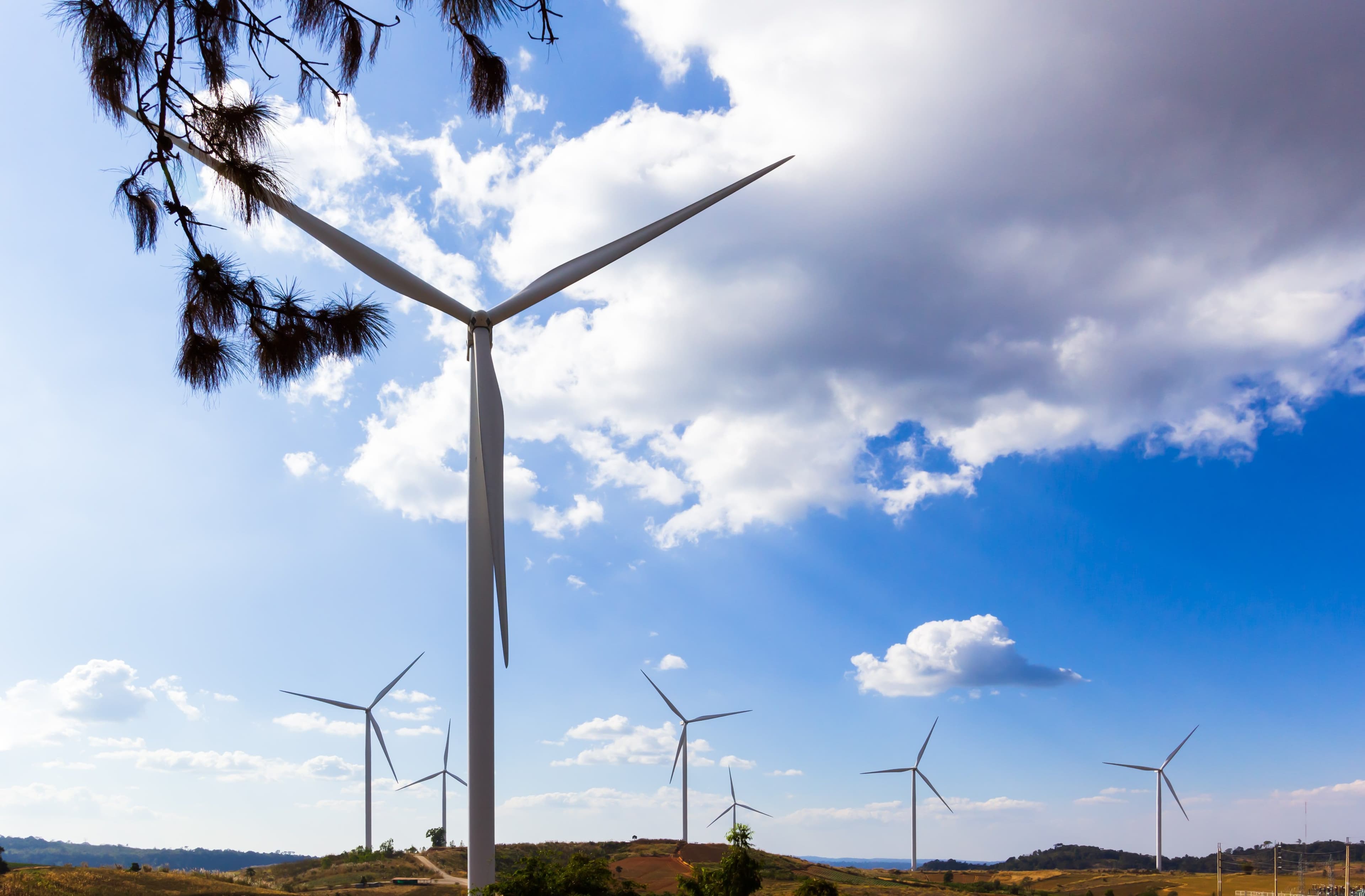 ESMA to Gain Authority in Green Ratings