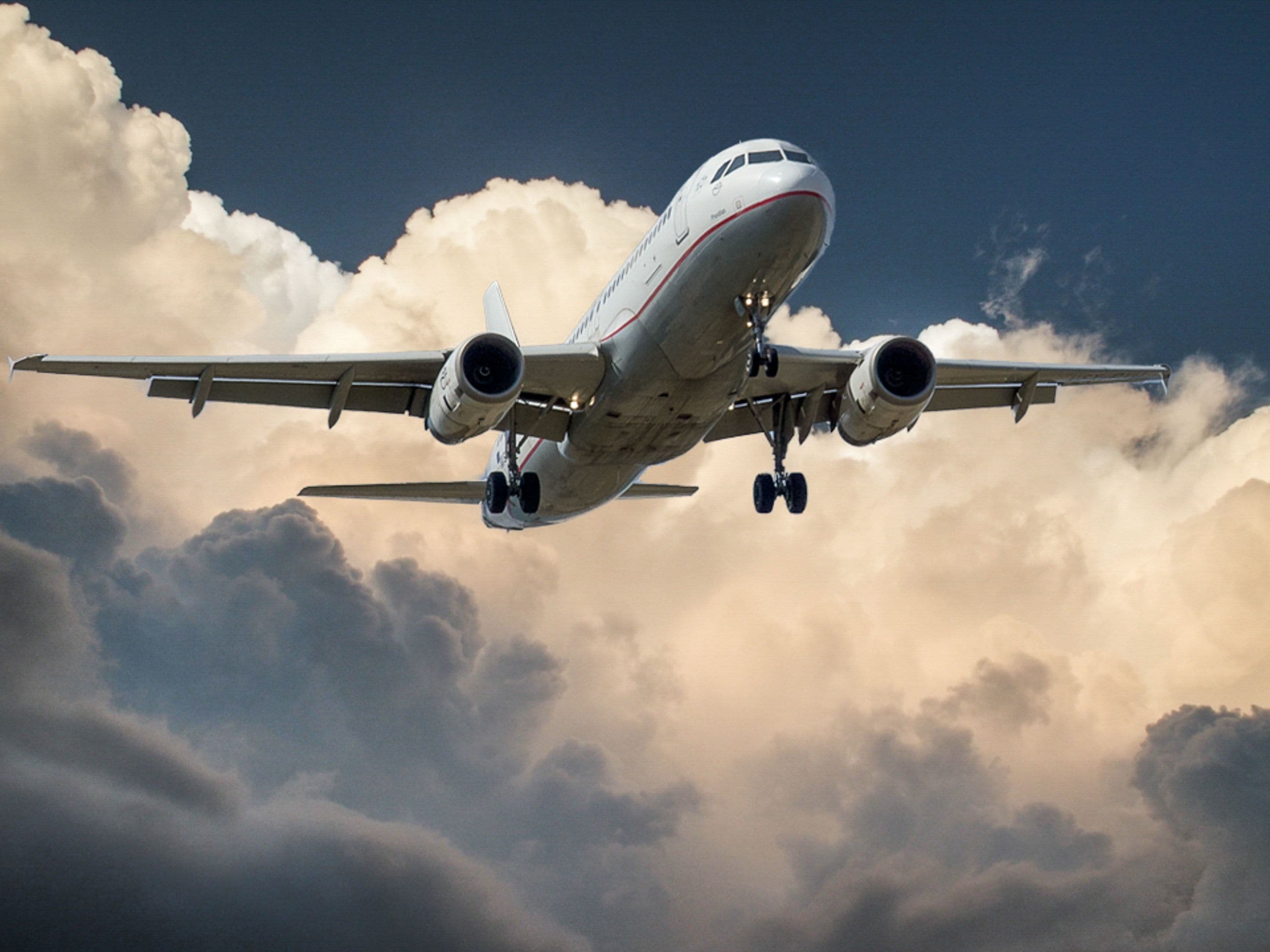 UN Aviation Group Vows to Achieve Net Zero by 2050