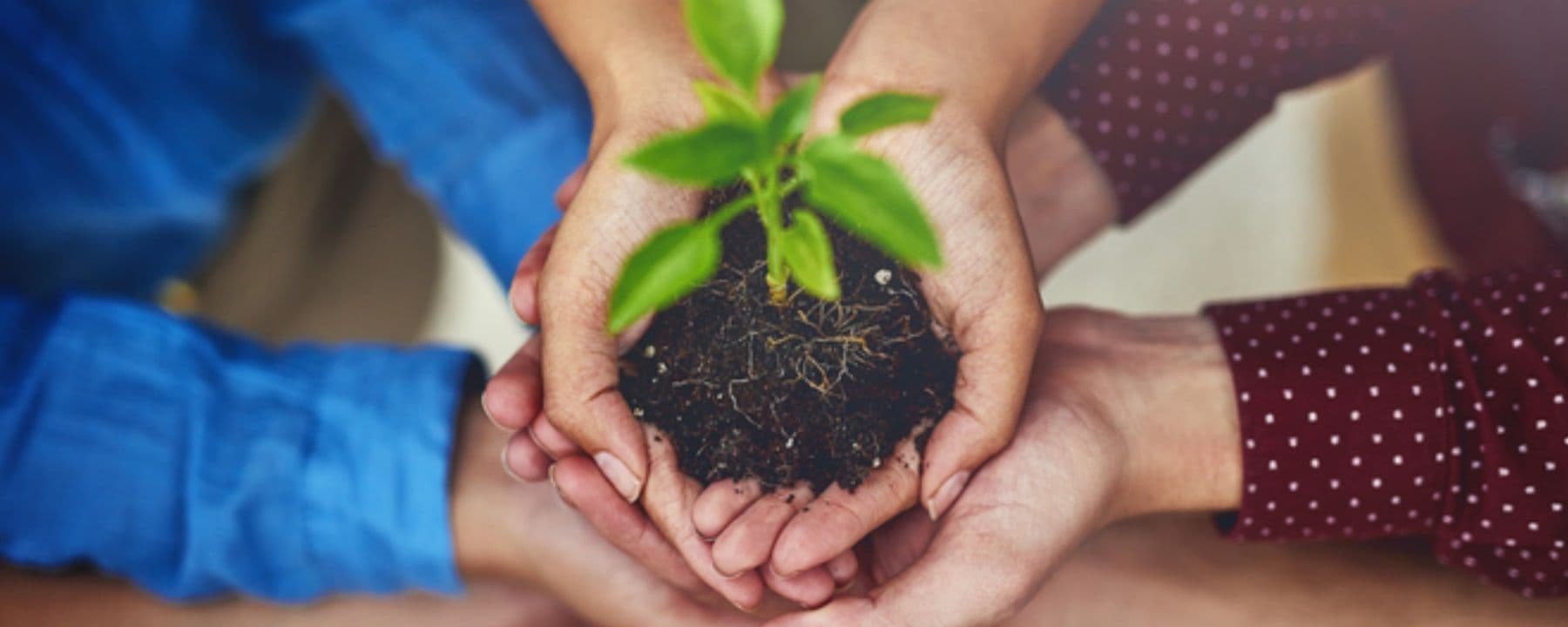 ATRenew Joins the United Nations Global Compact