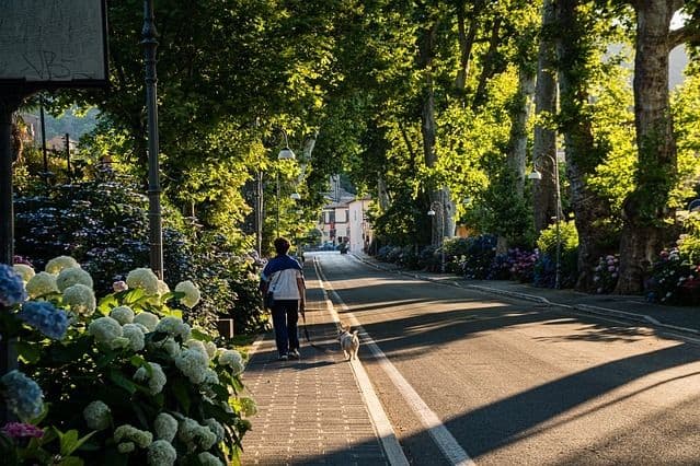 Sustainable Urban Regeneration