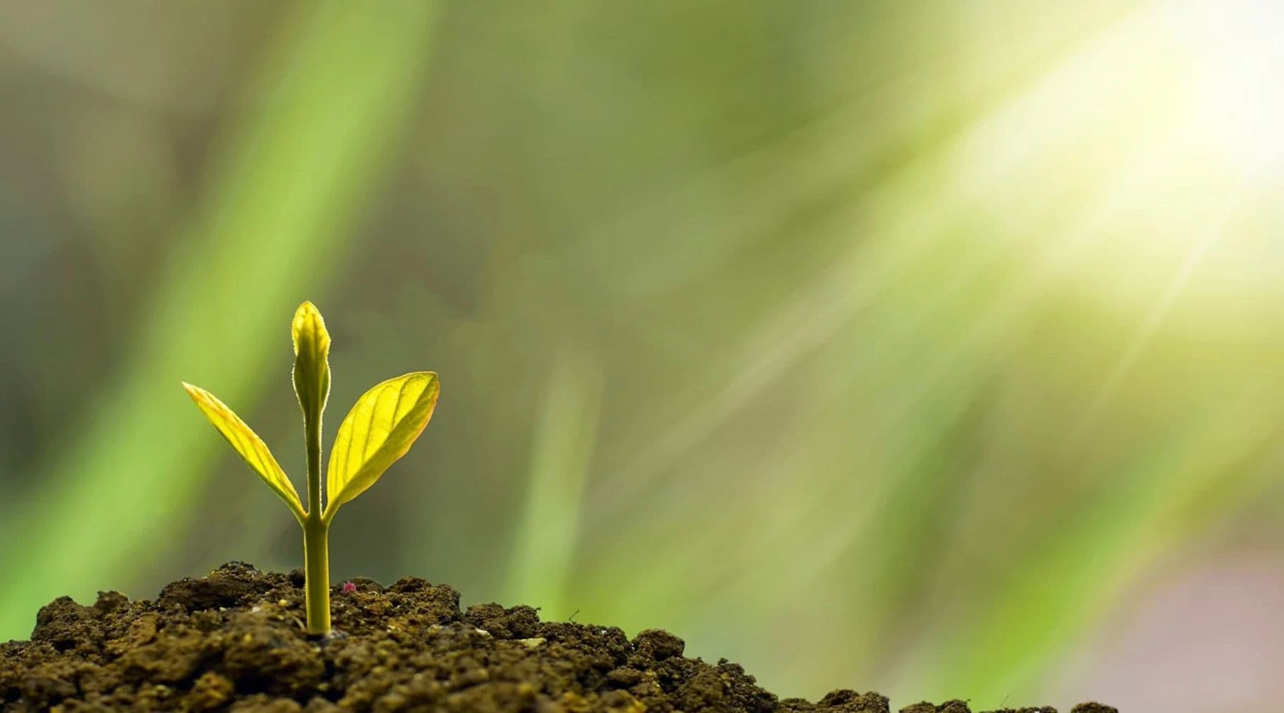 SDR & ESG Virtual Briefing 2024
