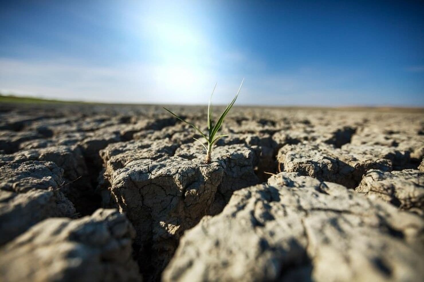 NatureAlpha Launches Platform for Business Nature Risk Management