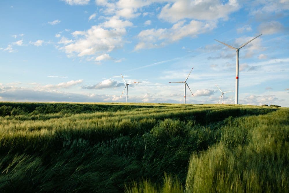 Net Zero Carbon Cities: Dream or Reality Event