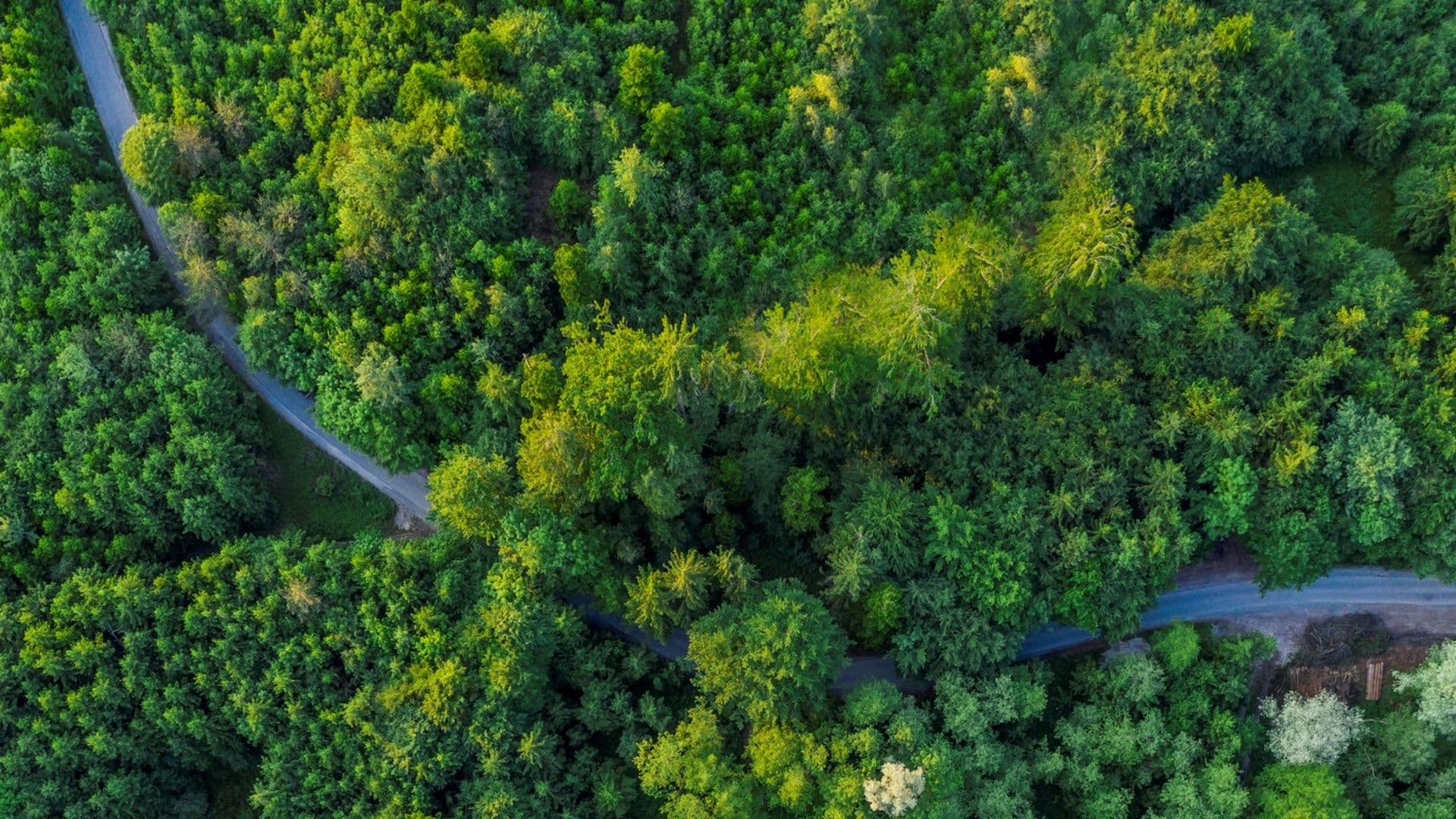 Knorr-Bremse Rewards its Suppliers for Adopting More Eco-Friendly Business Practices