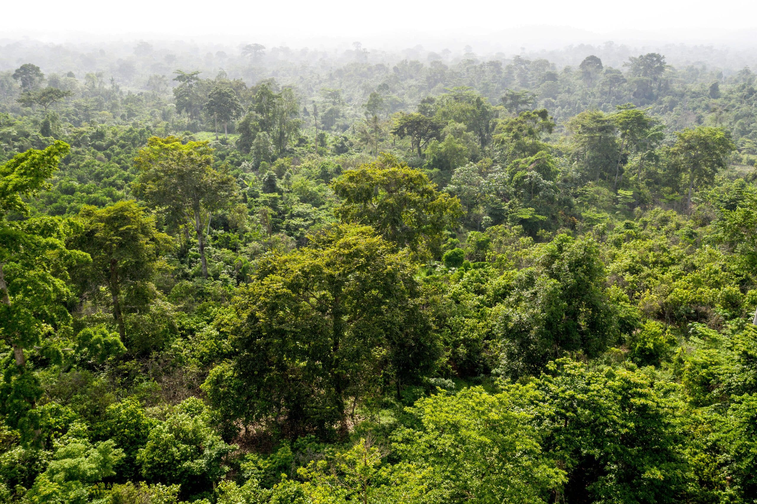 Peru Joins WTTC Guardians of Nature and Commits to Environmental Sustainability