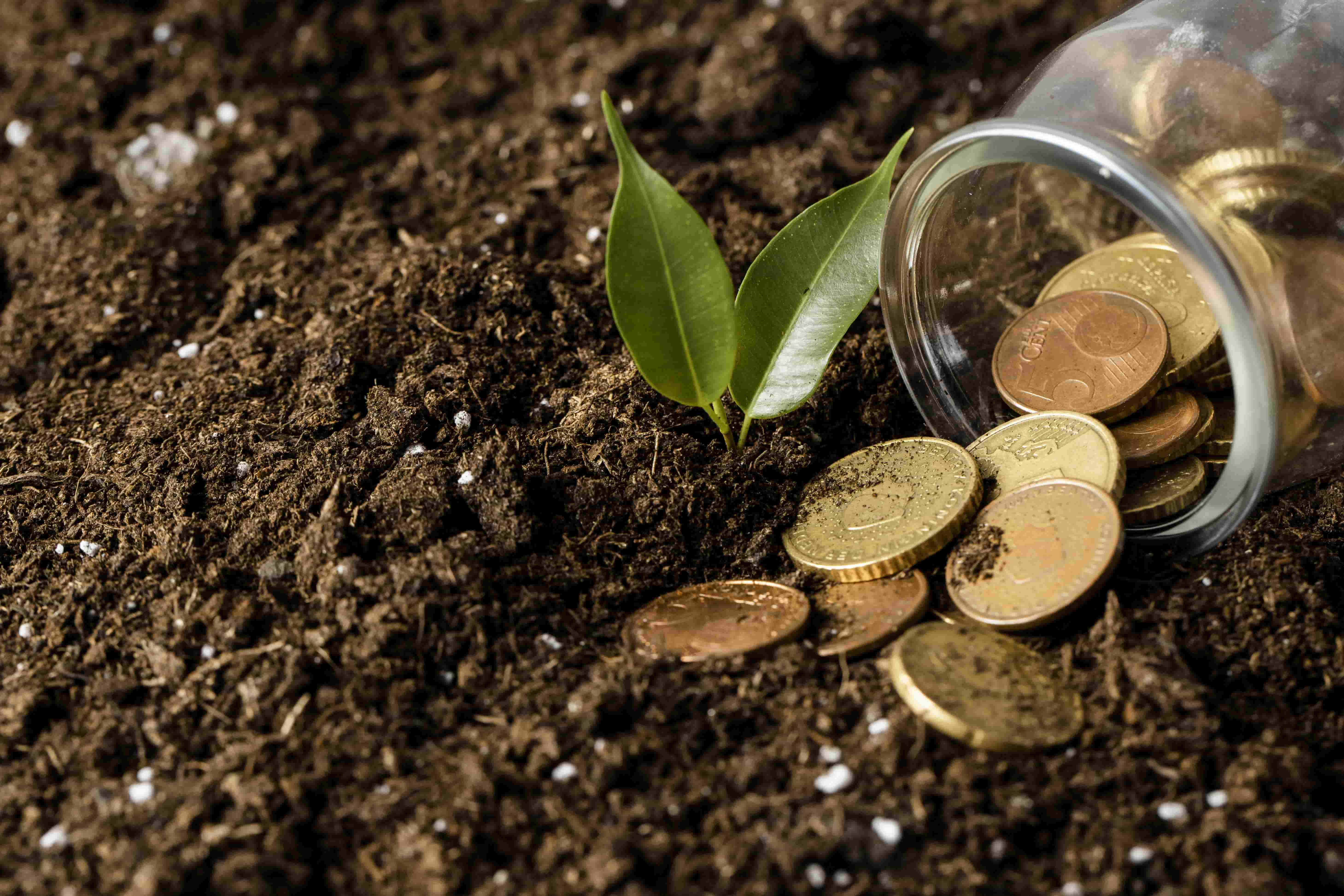 AUM Growth and ESG ETFs Position Hennessy Advisors for Sustainable Gains