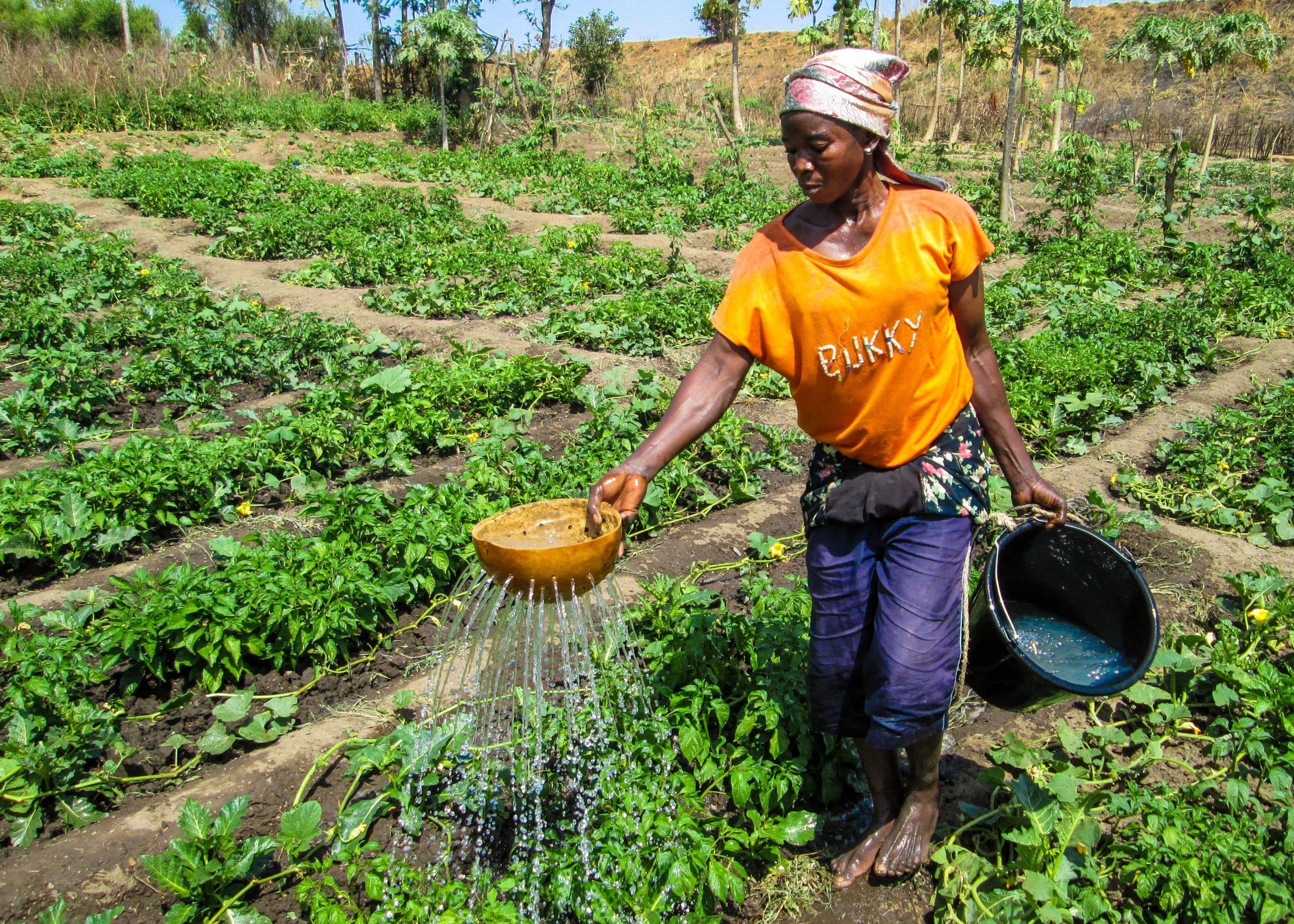 Government of Ghana Urged to Adopt Sustainable Food Security Enhancing Measures