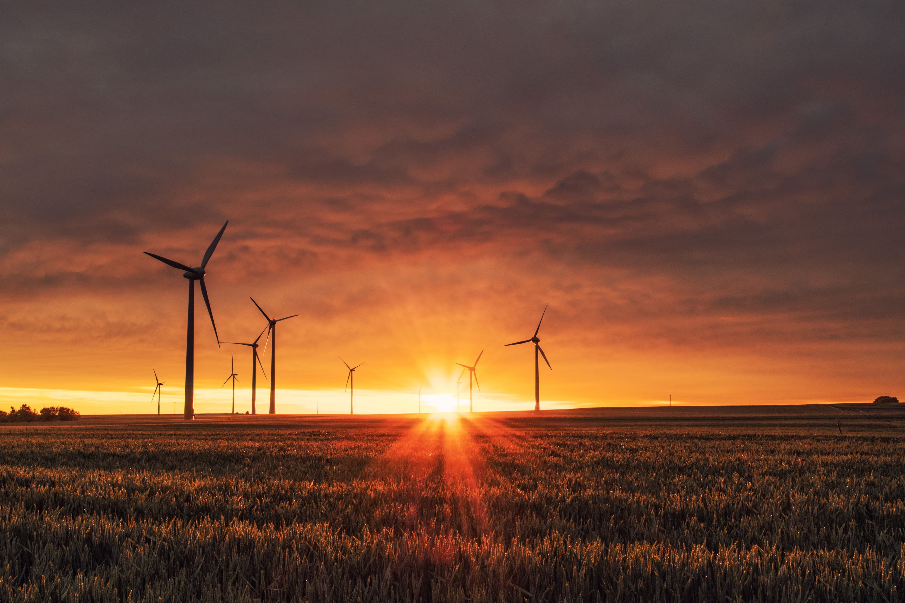 Cenovus to Assist in Advancement of Sustainable Energy Opportunities for First Nations