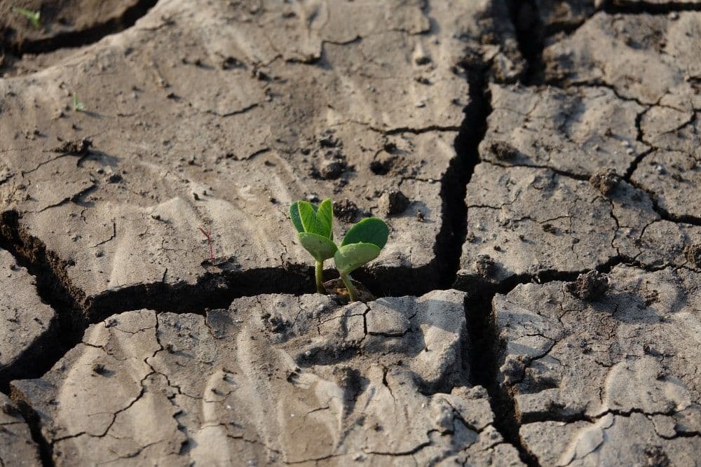 Singapore Delays Climate Disclosures for Smaller Firms