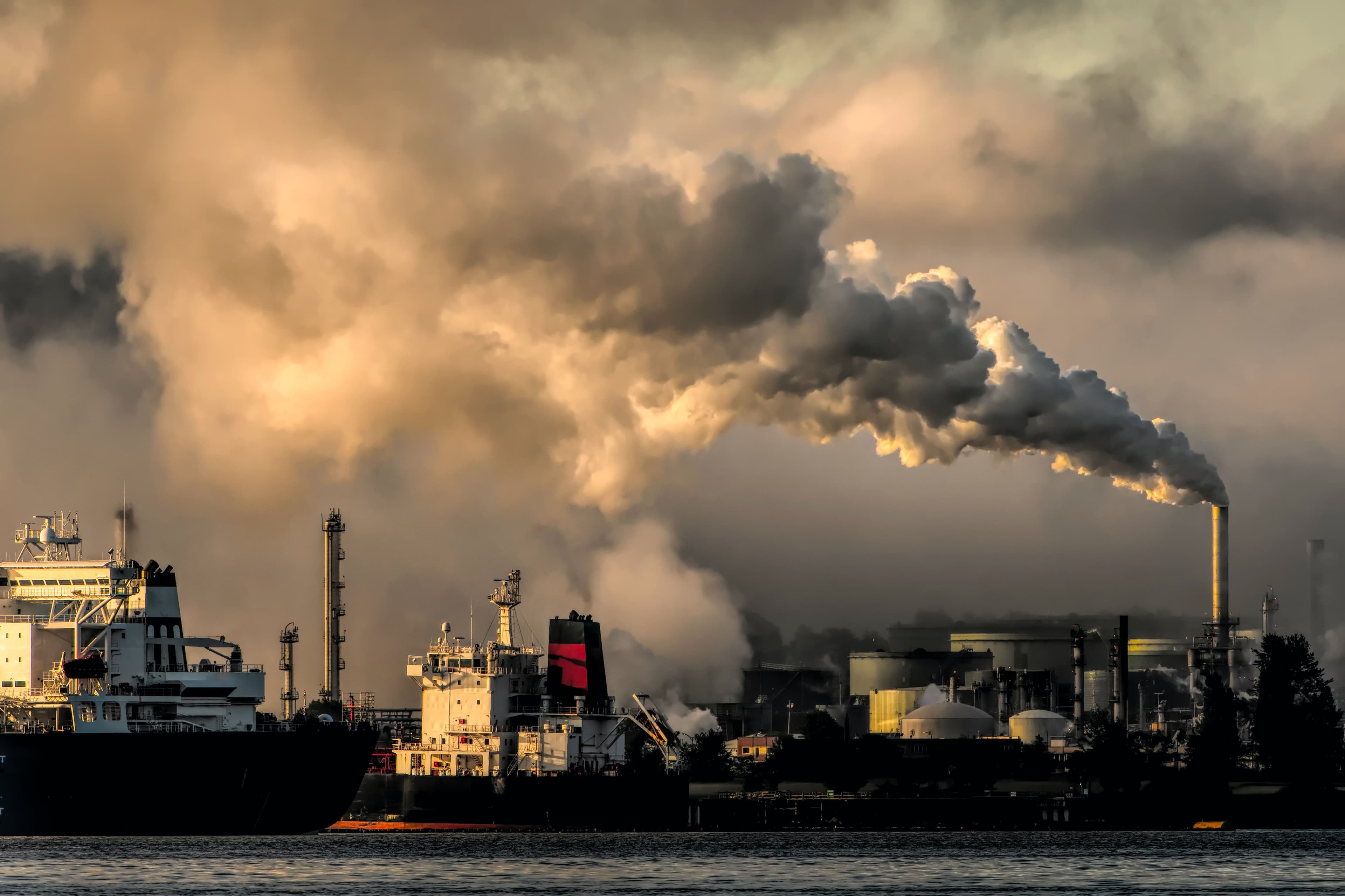 Act Quickly to Fund Net-Zero Emission Targets, Says Singapore Central Bank MD