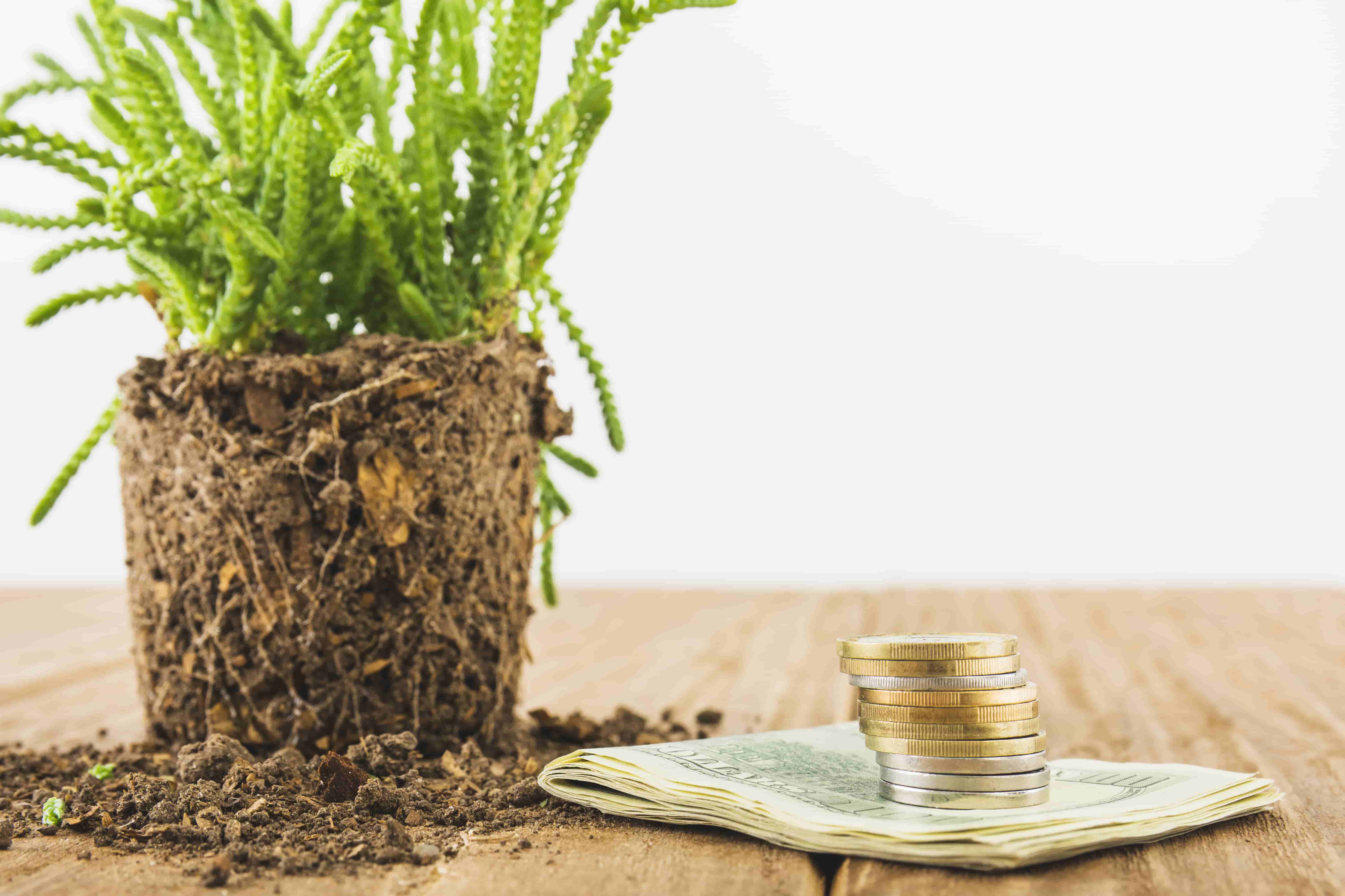How Sustainable Debt Is Evolving: 11 Key Trends for 2026