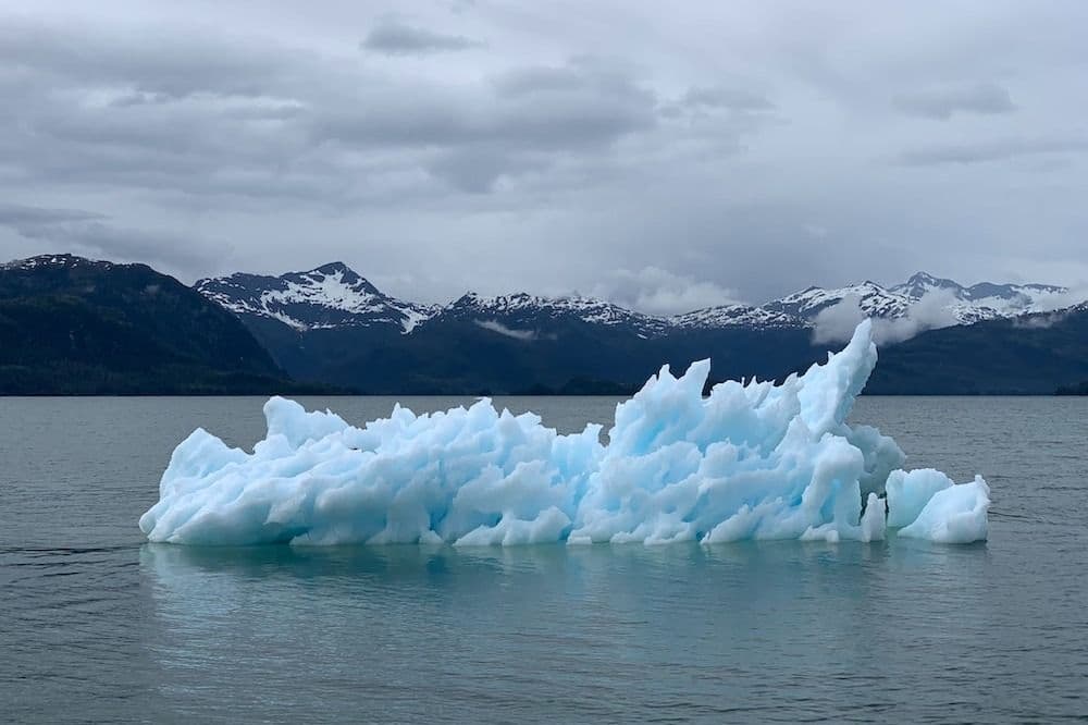How Do We Manage Climate Change?
