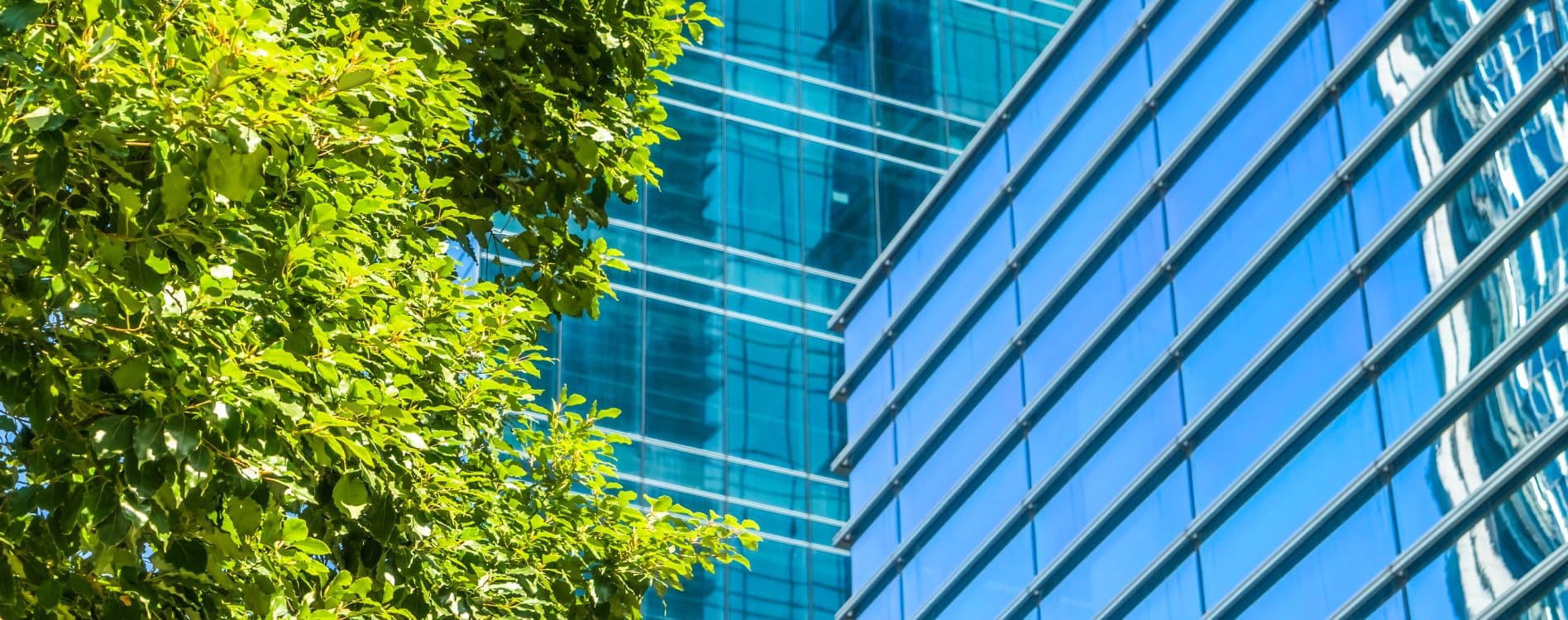 Structured Finance and Covered Bonds: Credit Update and ESG Developments