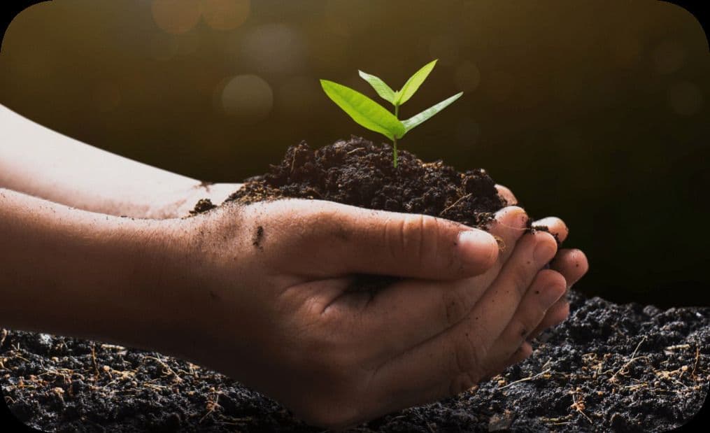 PayU Paves Green Path with ESG Innovation