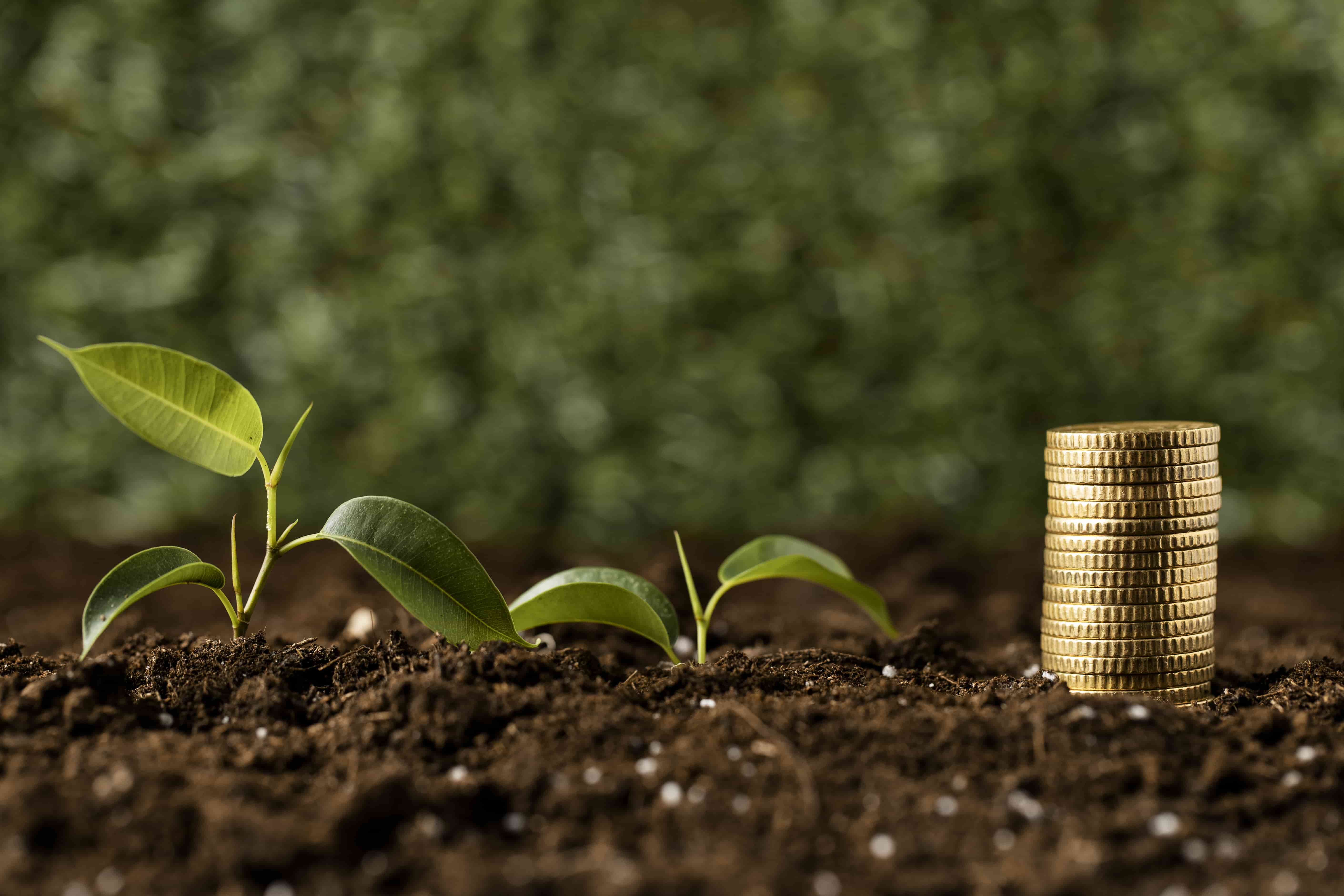 Sustainable Finance Surges: ING Records US$78.8b in H1 2025