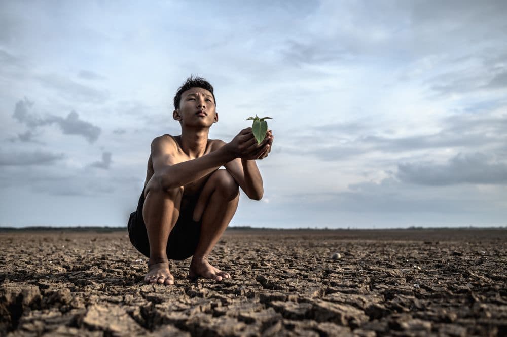 NEC Indonesia, Sinar Mas Land Partner for Climate Change Solutions