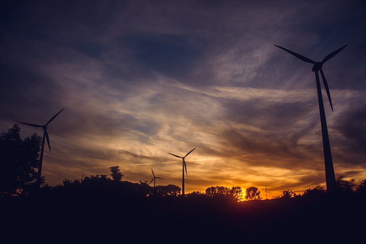 Carbon Footprinting, Net Zero targets and Carbon Reduction Planning for Organisations