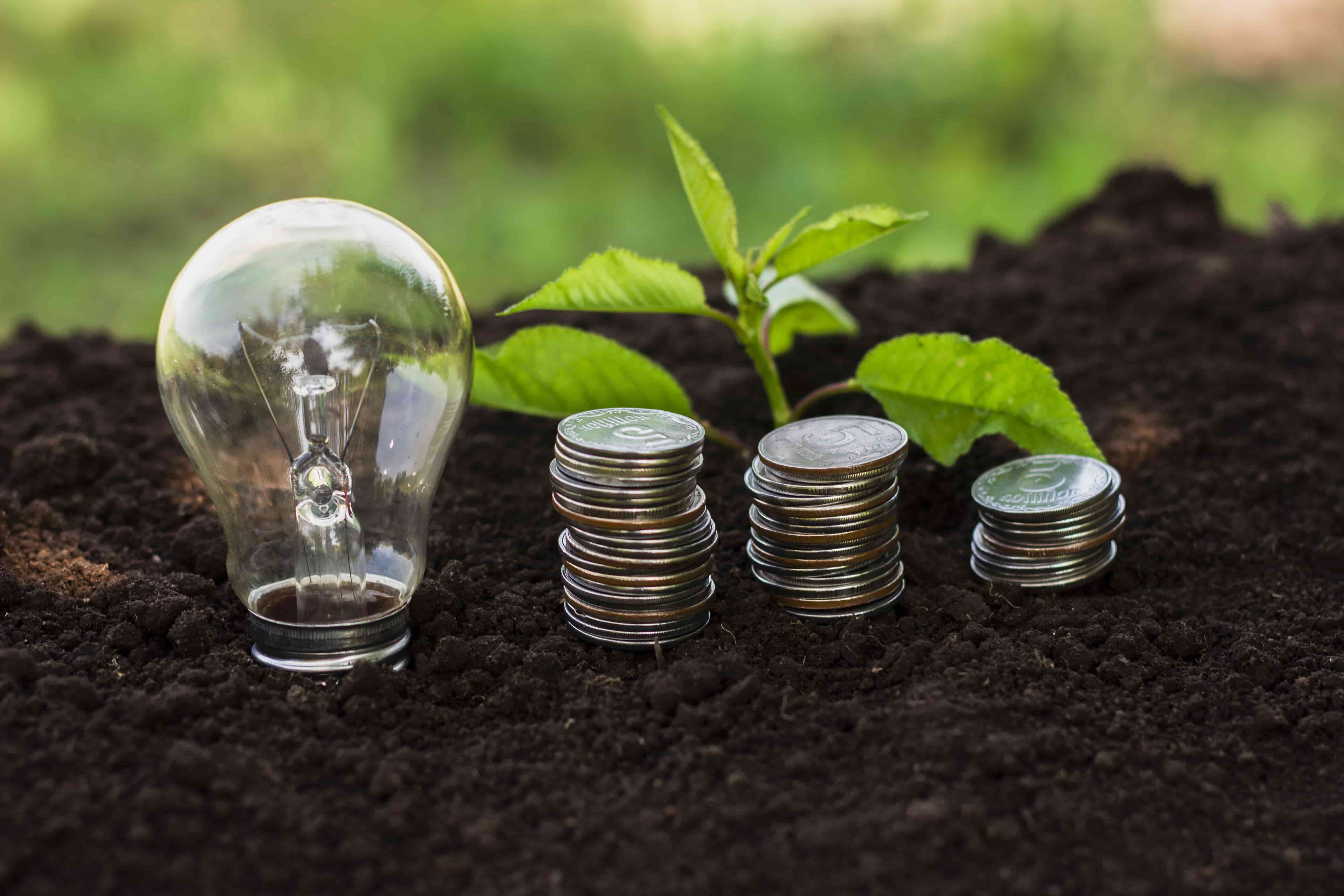 Green Energy Investment Amid Shifting ESG Regulation Landscape