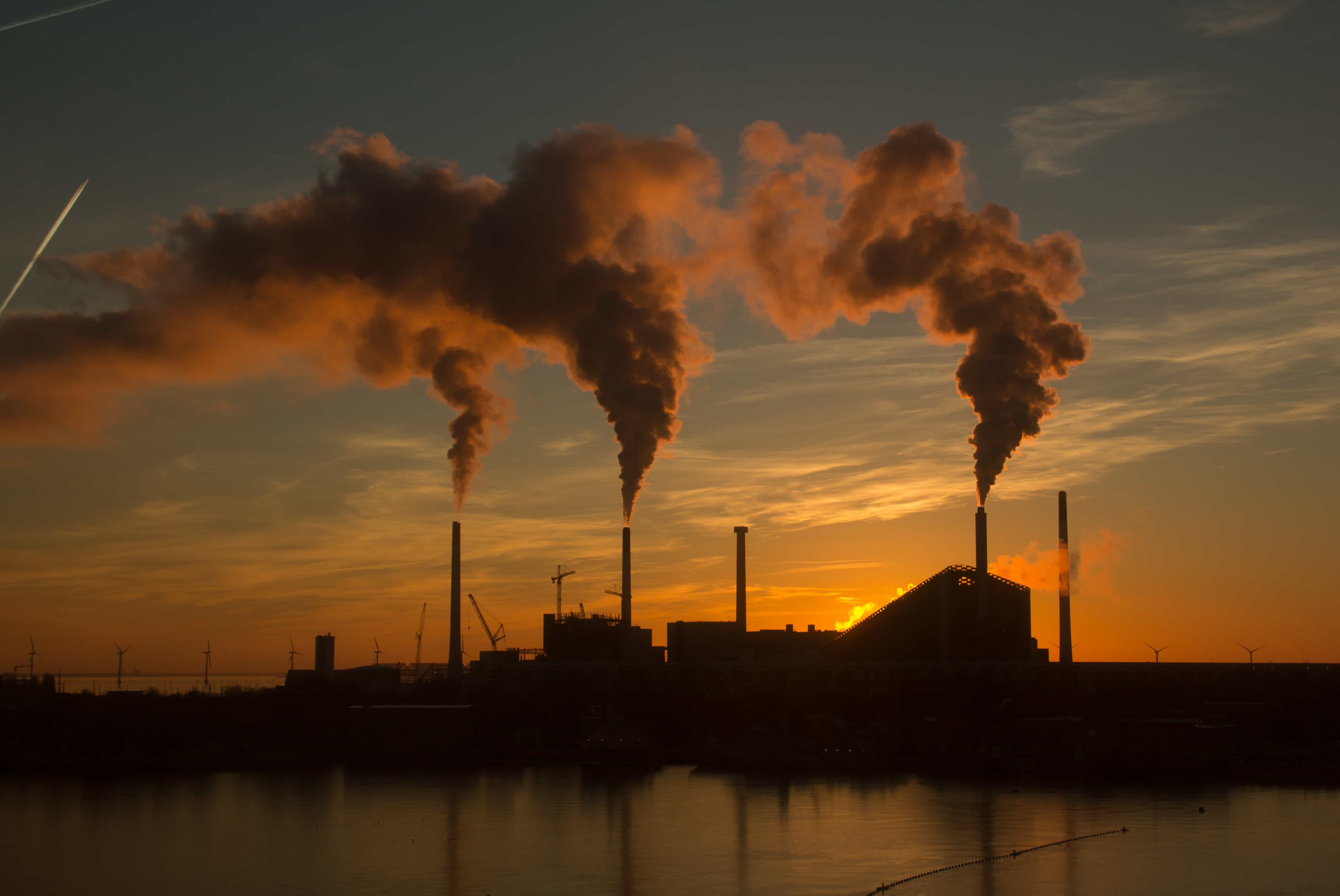 Great Bear Carbon CEO Secures Landmark Carbon Deal for First Nations