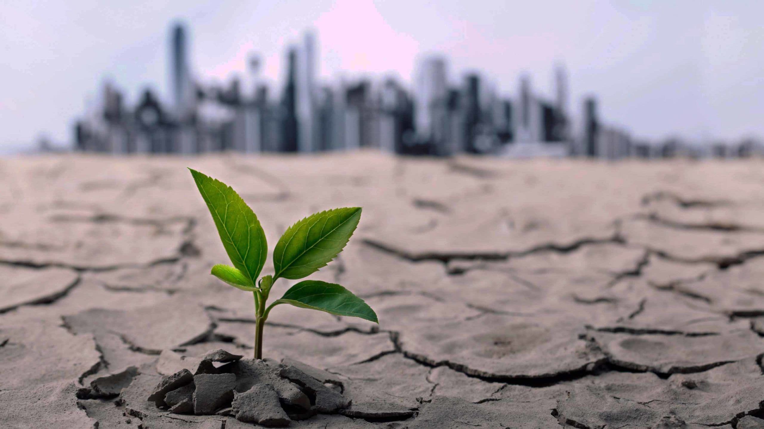 GSMA: Climate Change Strategy Profits Companies
