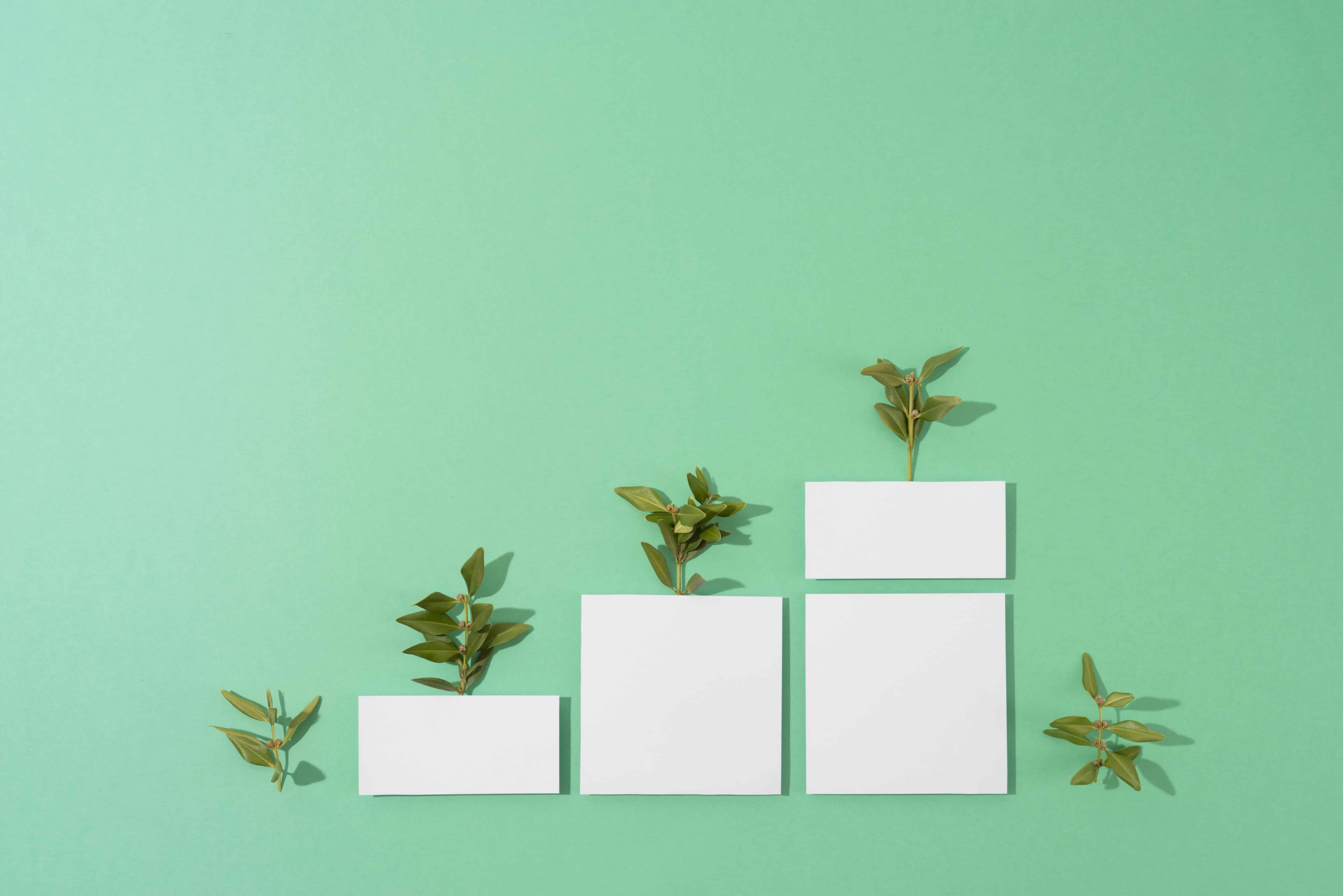 ESG Trends: Annual Outlooks, Regulations, and Developments