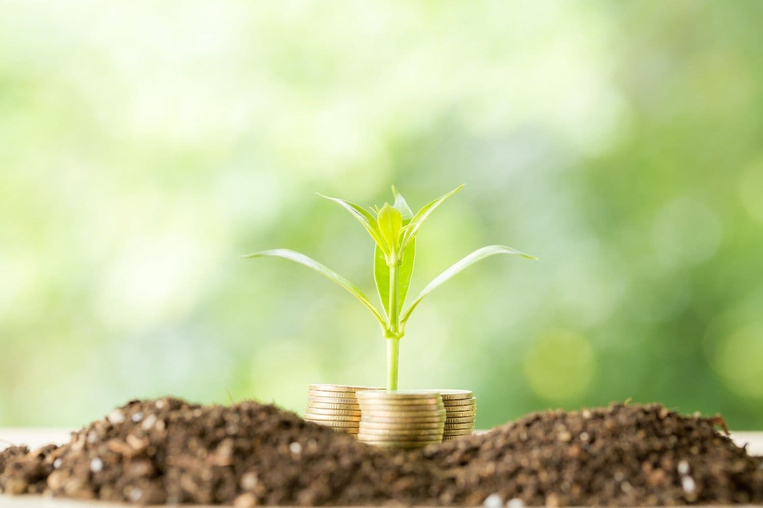 UNDP Biodiversity Finance: Designing and Implementing Finance Plans for Nature