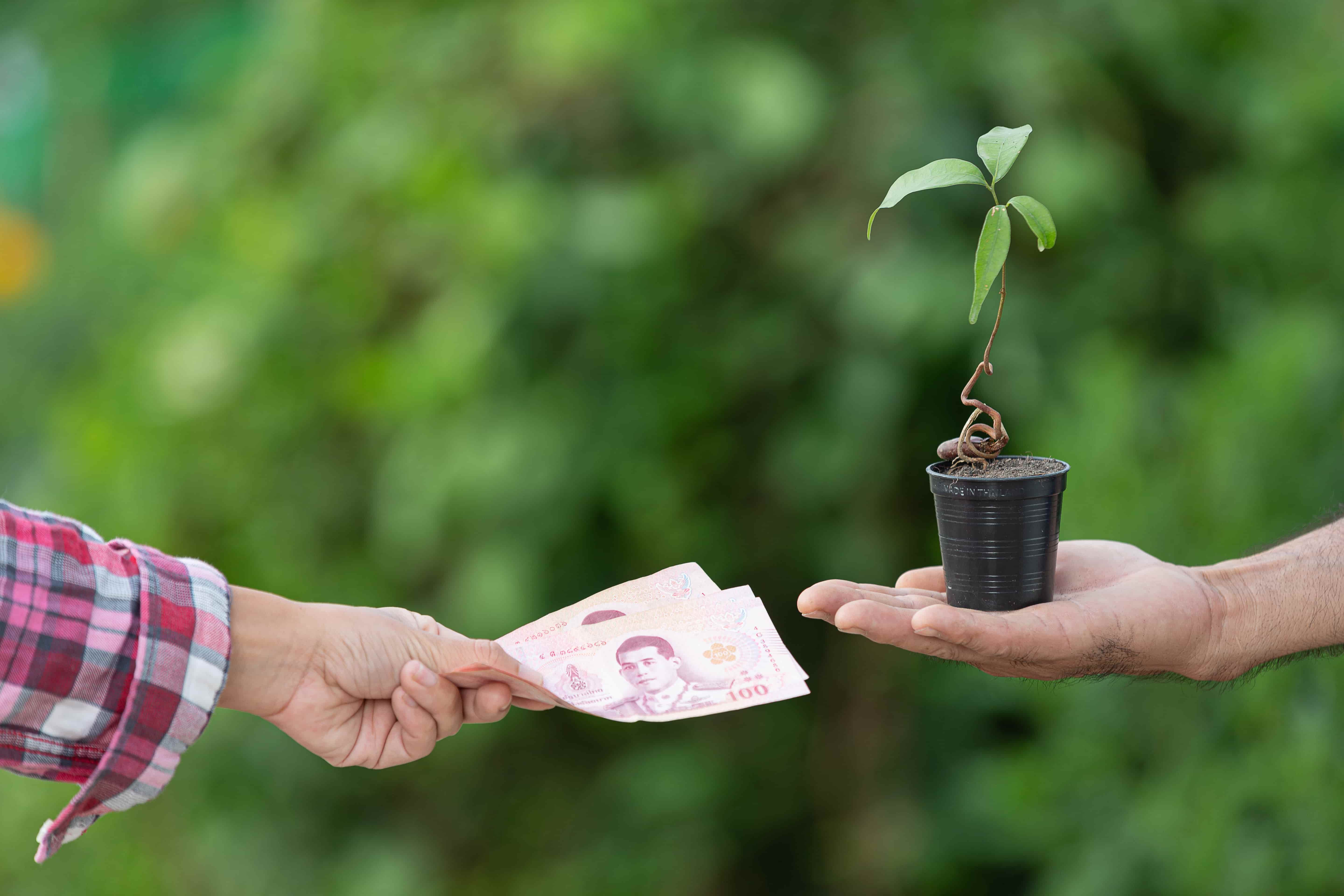 Bosqar Eyes €150M in Sustainability Bonds Amid ESG Push