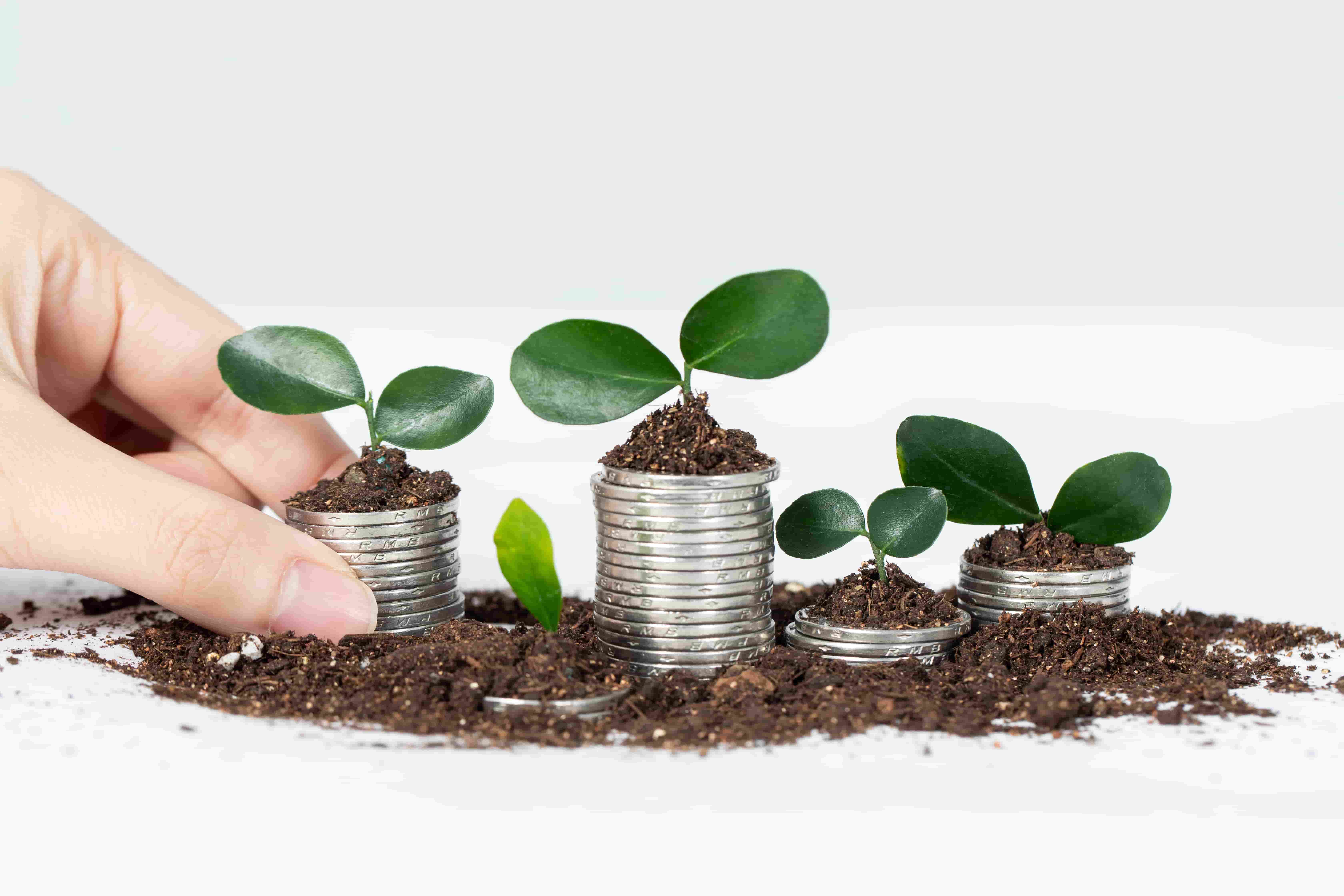 Cathay Financial Holdings Leads Asia’s Climate Finance Push at COP30