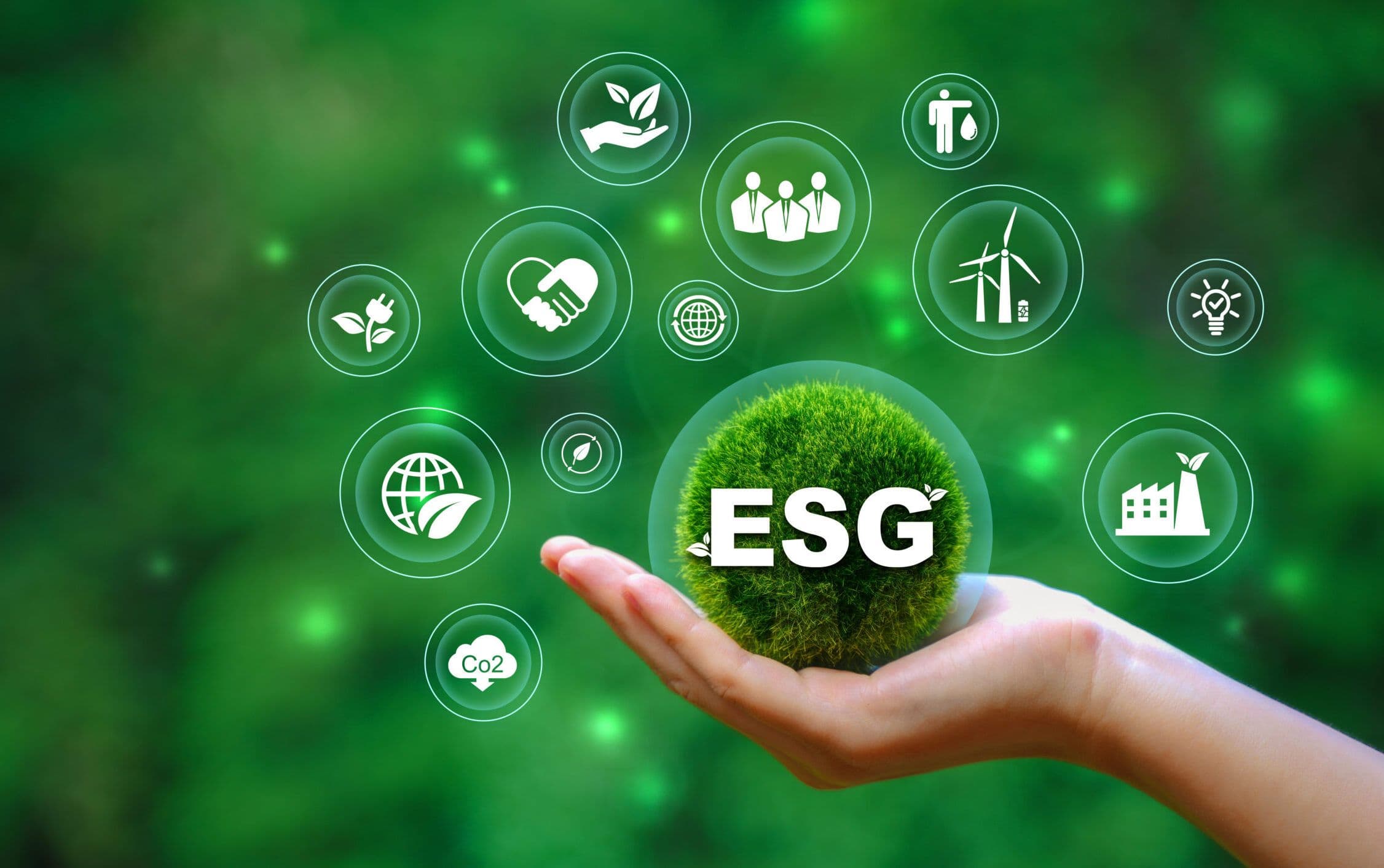 Sustainability Management: ESG and Beyond