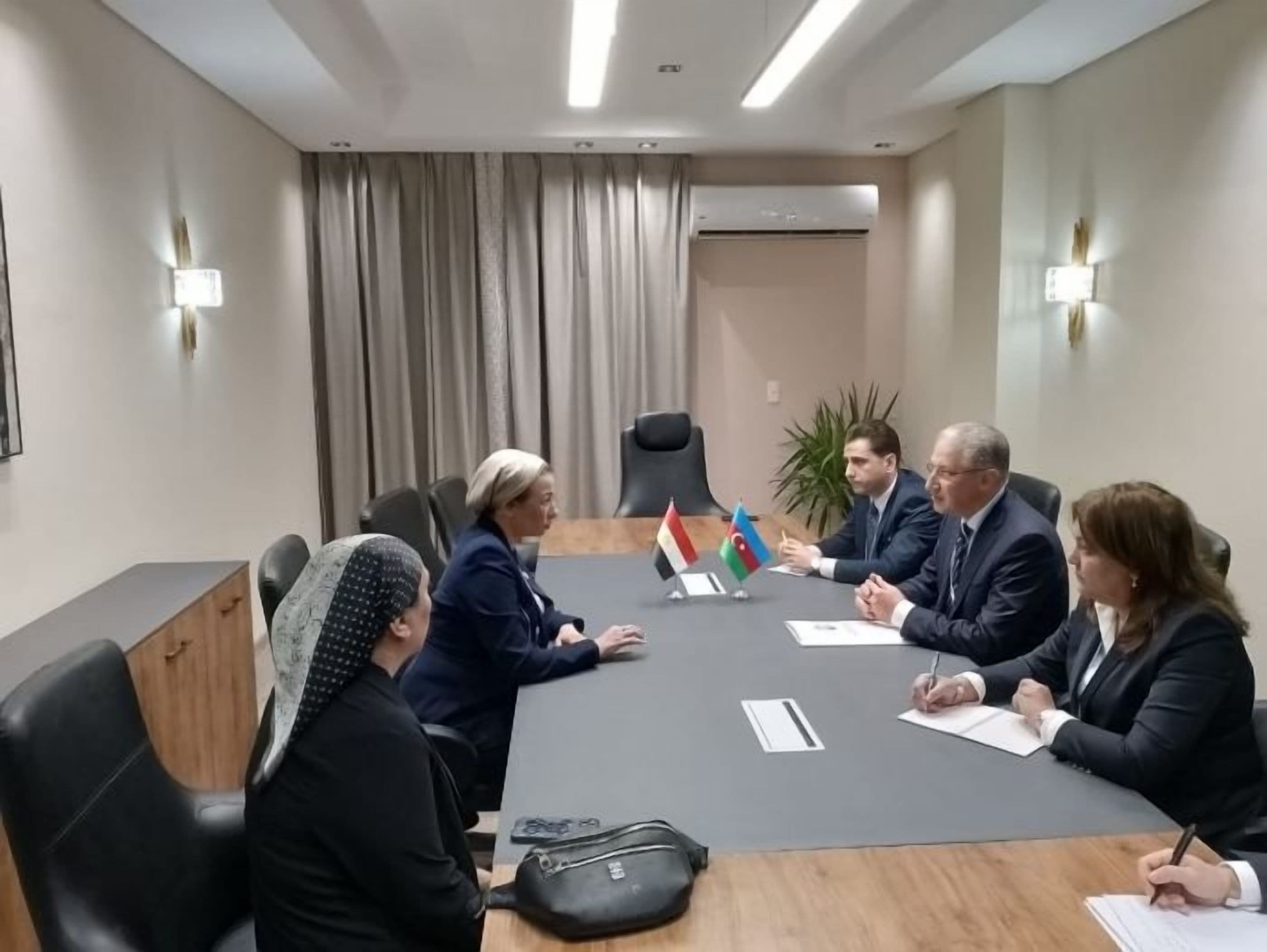 Egypt, Azerbaijan Discuss Bilateral Cooperation, COP27 Agenda