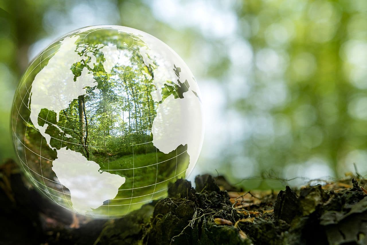 International Sustainability Forum 2024