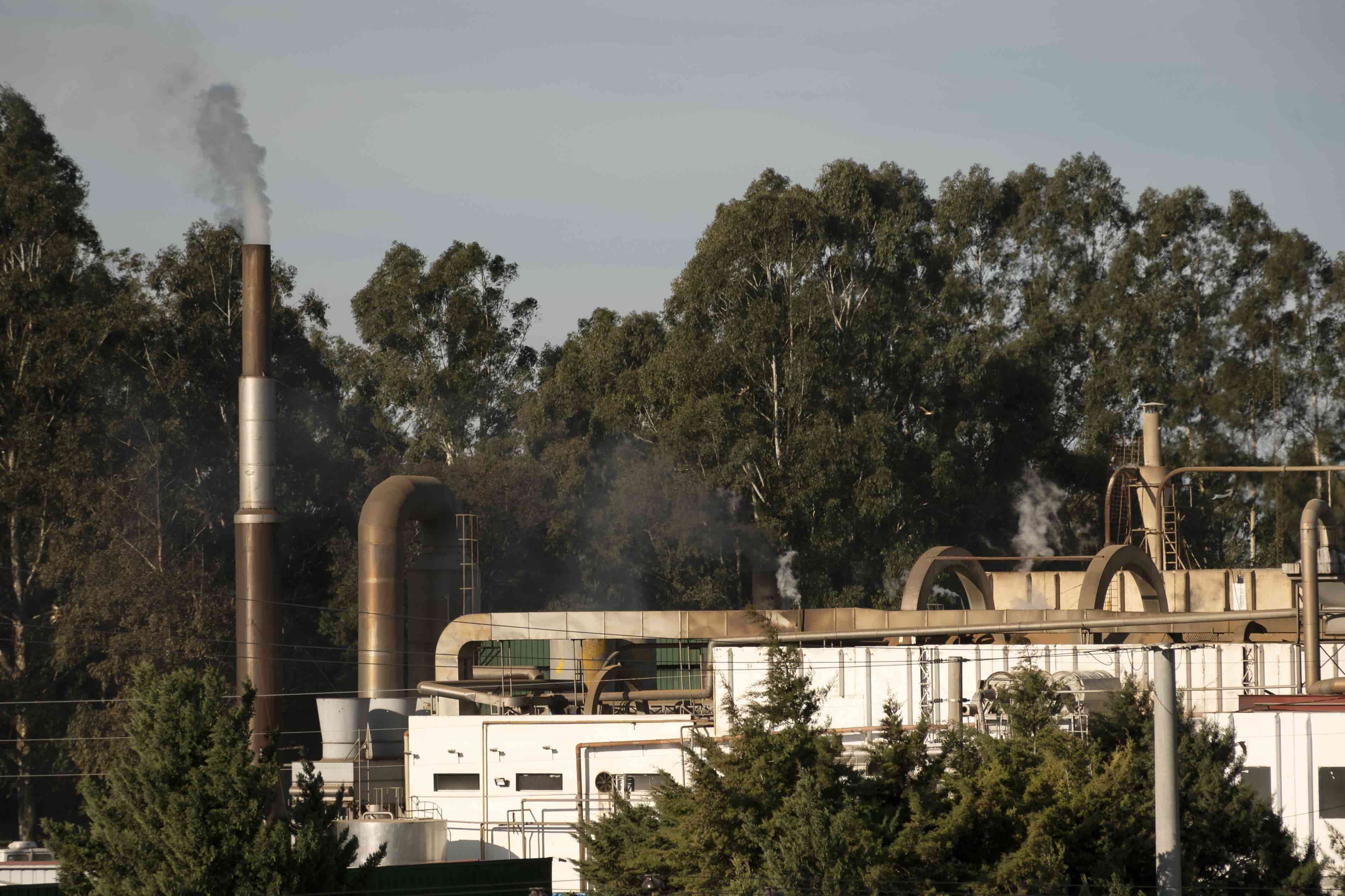 HyNet Expansion Marks Key Step for Carbon Capture in Wales