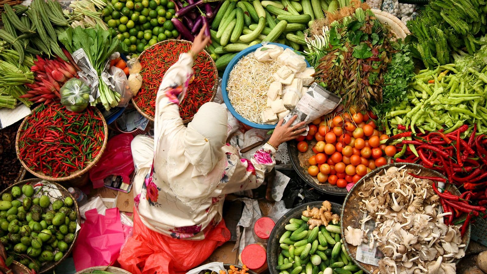 Survey: Agrifood Companies' Efforts to Become Carbon Neutral are Inconsistent