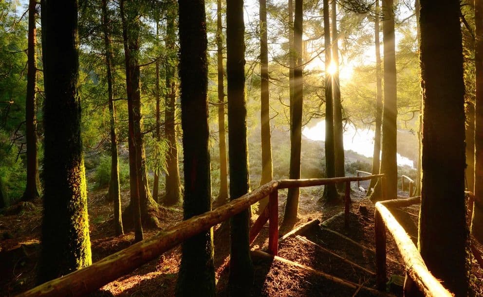 LGIM, National Trust Unite for Fossil Fuels Exclusion