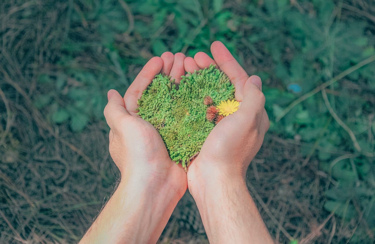 IFCO Releases 2023 ESG Report