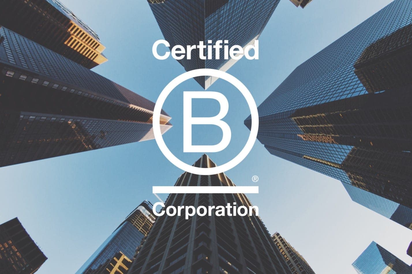 Why Companies Are Becoming B Corporations: All You Need to Know