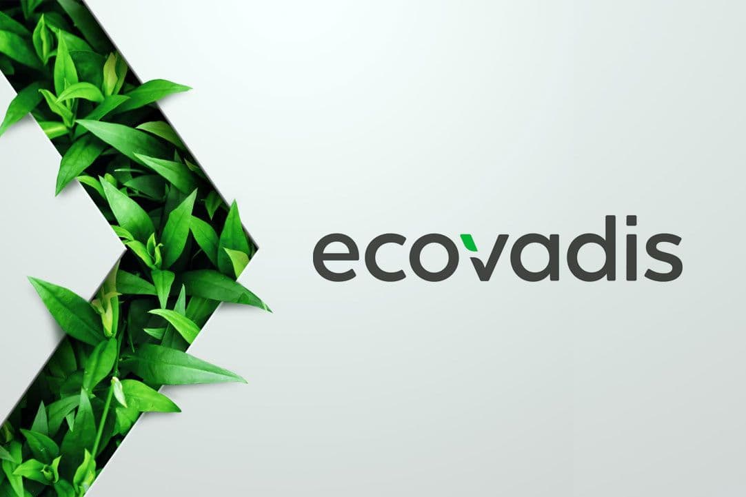 Insights from EcoVadis Business Sustainability Index 2024
