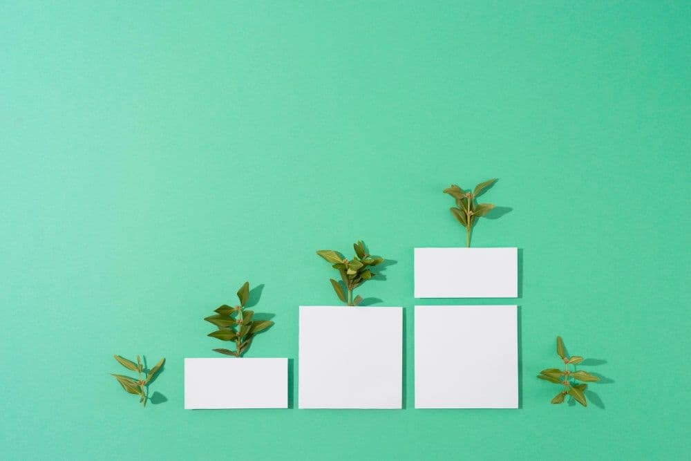 Freedom Holding ESG Report: Focus on Education and Environment