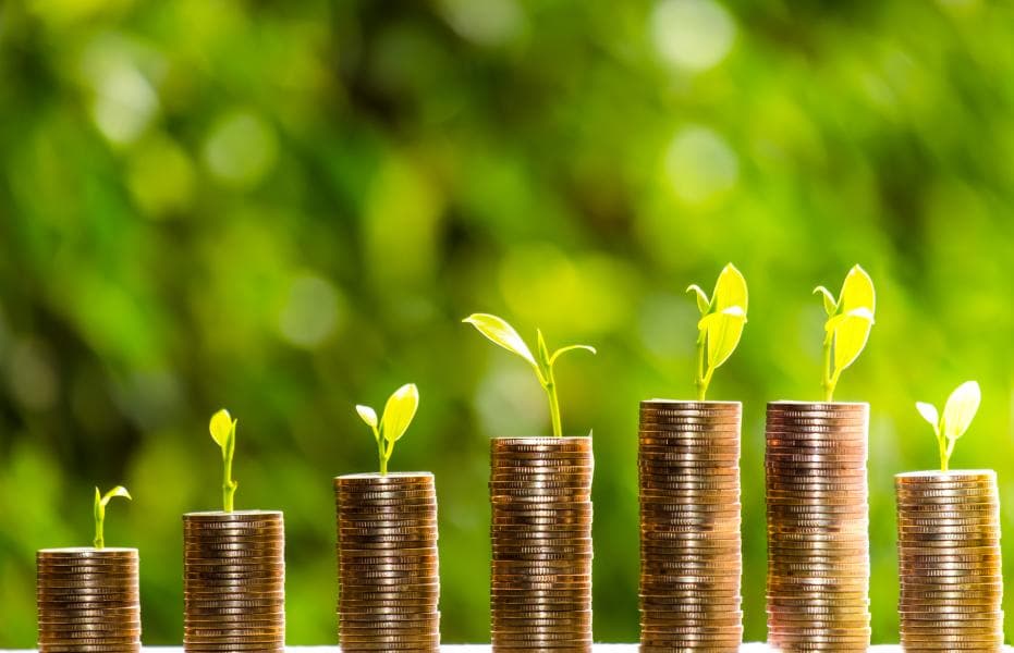 Zambia’s First Sustainability Bond: $100M Issuance on the Anvil