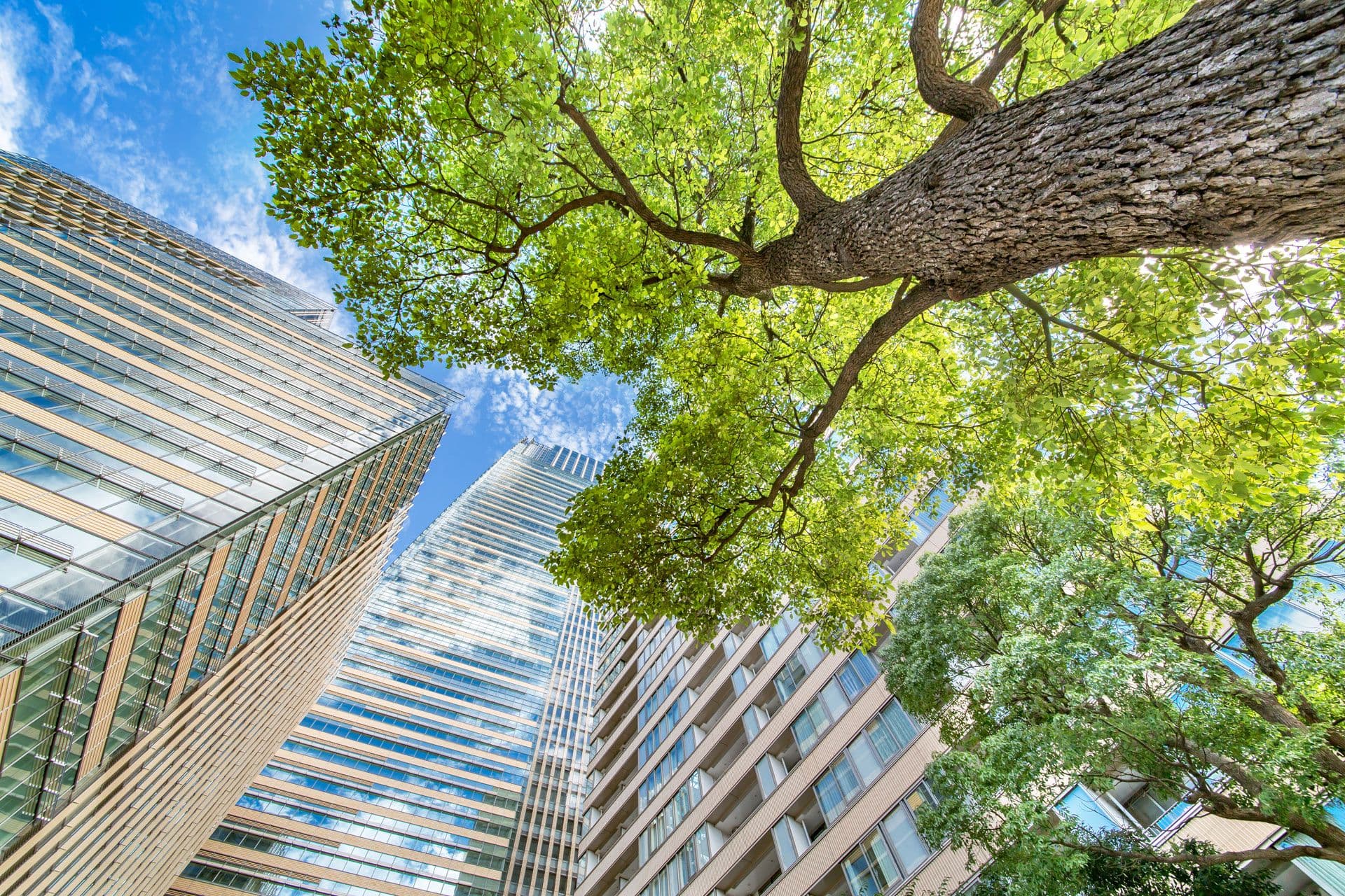 Deutsche Bank takes steps to further reduce its energy usage