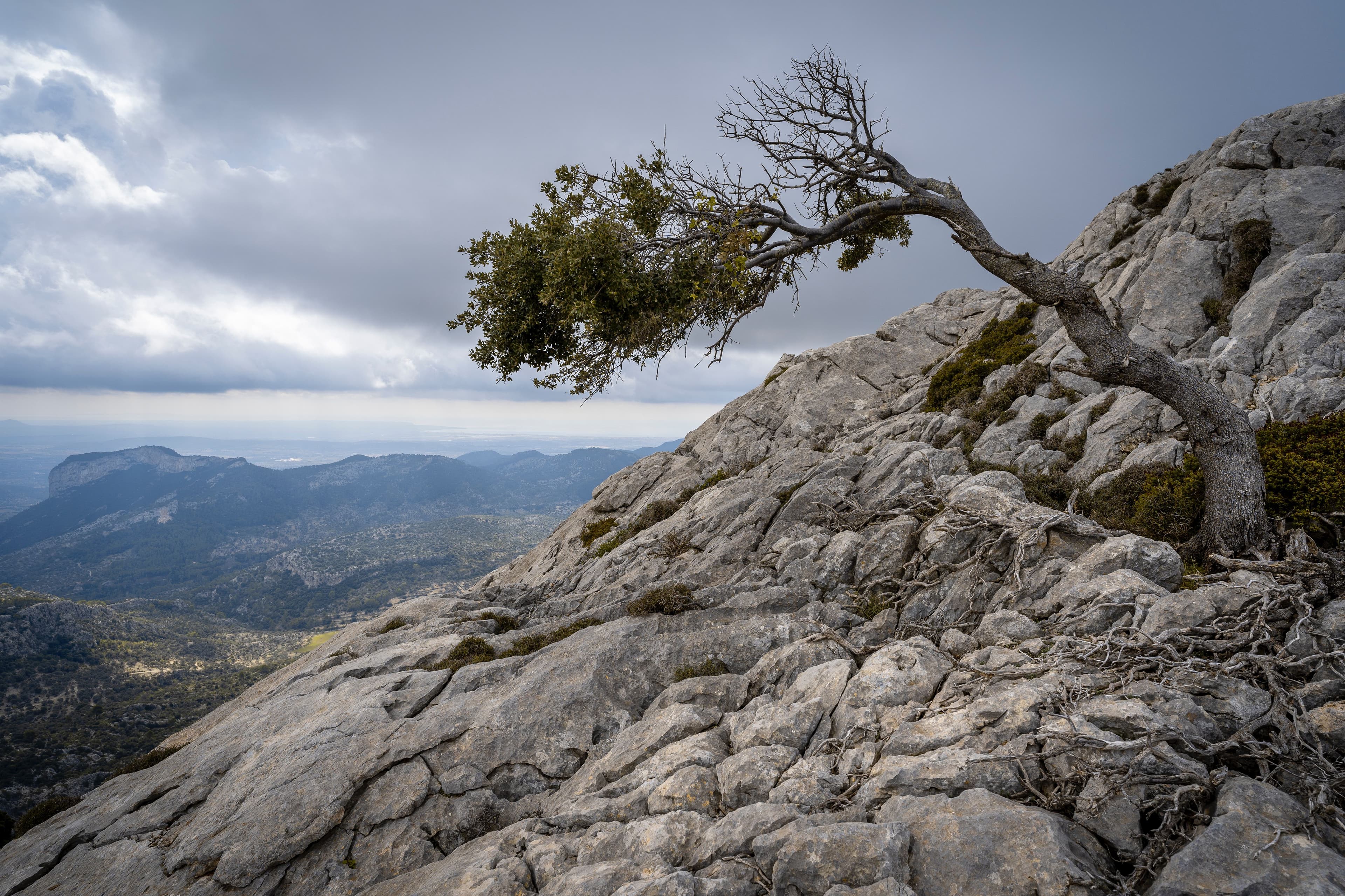 How ESG Helps Evolving Tech Companies Become More Resilient